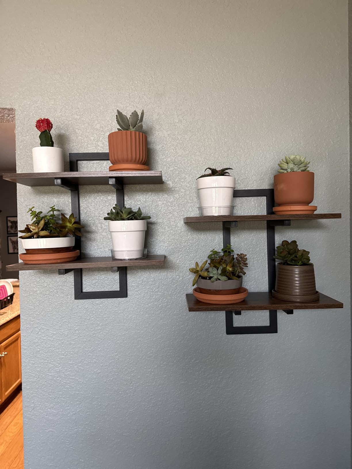 Bamworld Floating Shelves for Wall Planters Indoor Hanging Plant Shelves | Plant Holder Wall Decor Plant Stand Indoor for Plant Hangers Indoor for Living Room Bedroom Bathroom 2-Pack Brown customer photo 2