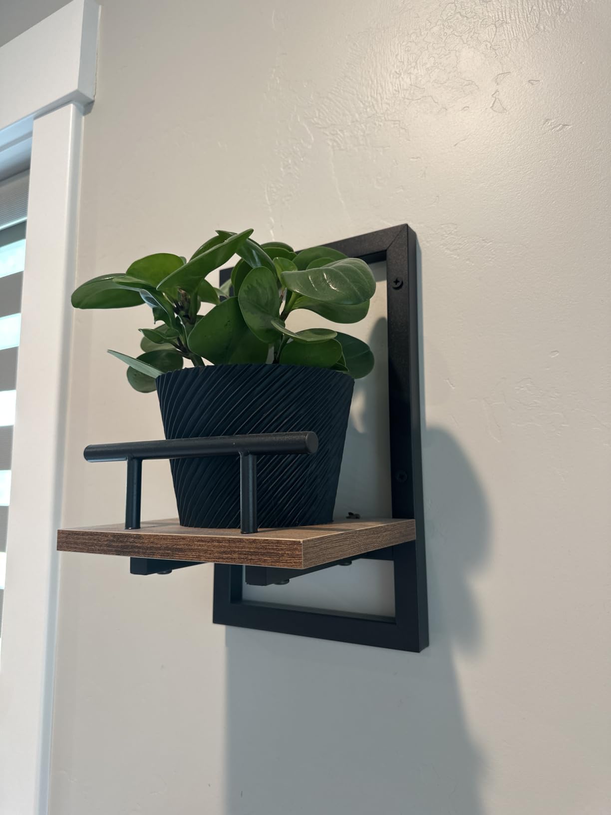 Sbosbo Floating Shelves for Wall Plant Shelf Indoor Wall Mounted Shelves | Wall Planters for Indoor Floating Plant Shelves for Bedroom, Living Room, Kitchen, Office, Bathroom Decor (3 Pack) customer photo 1