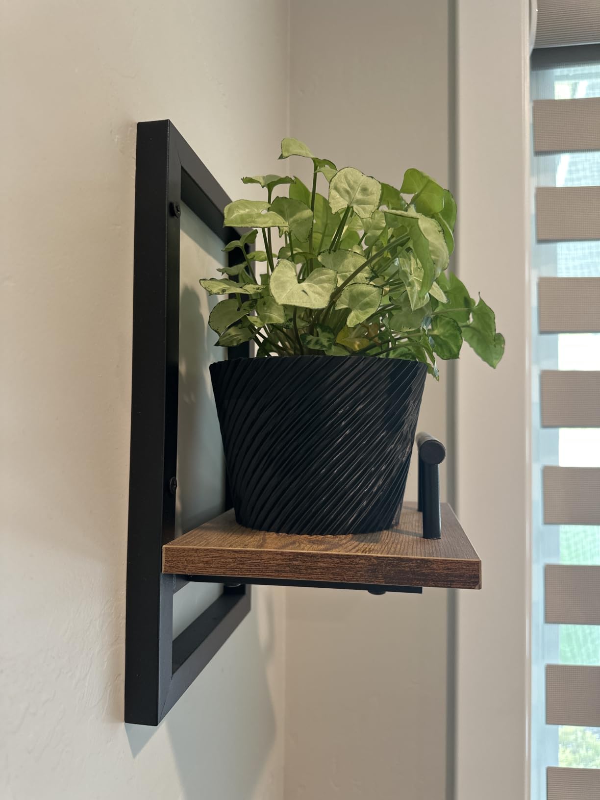 Sbosbo Floating Shelves for Wall Plant Shelf Indoor Wall Mounted Shelves | Wall Planters for Indoor Floating Plant Shelves for Bedroom, Living Room, Kitchen, Office, Bathroom Decor (3 Pack) customer photo 2