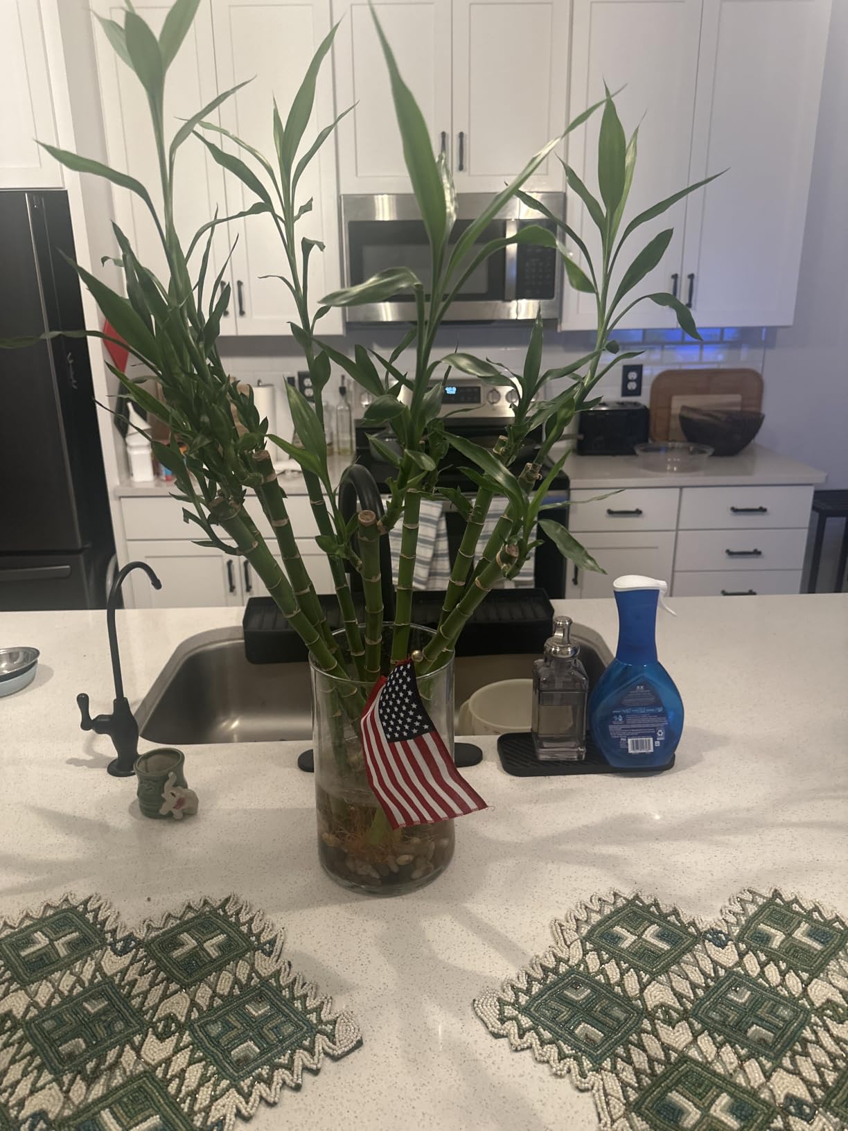 Yagaliga Lucky Bamboo 10 Stalks 18