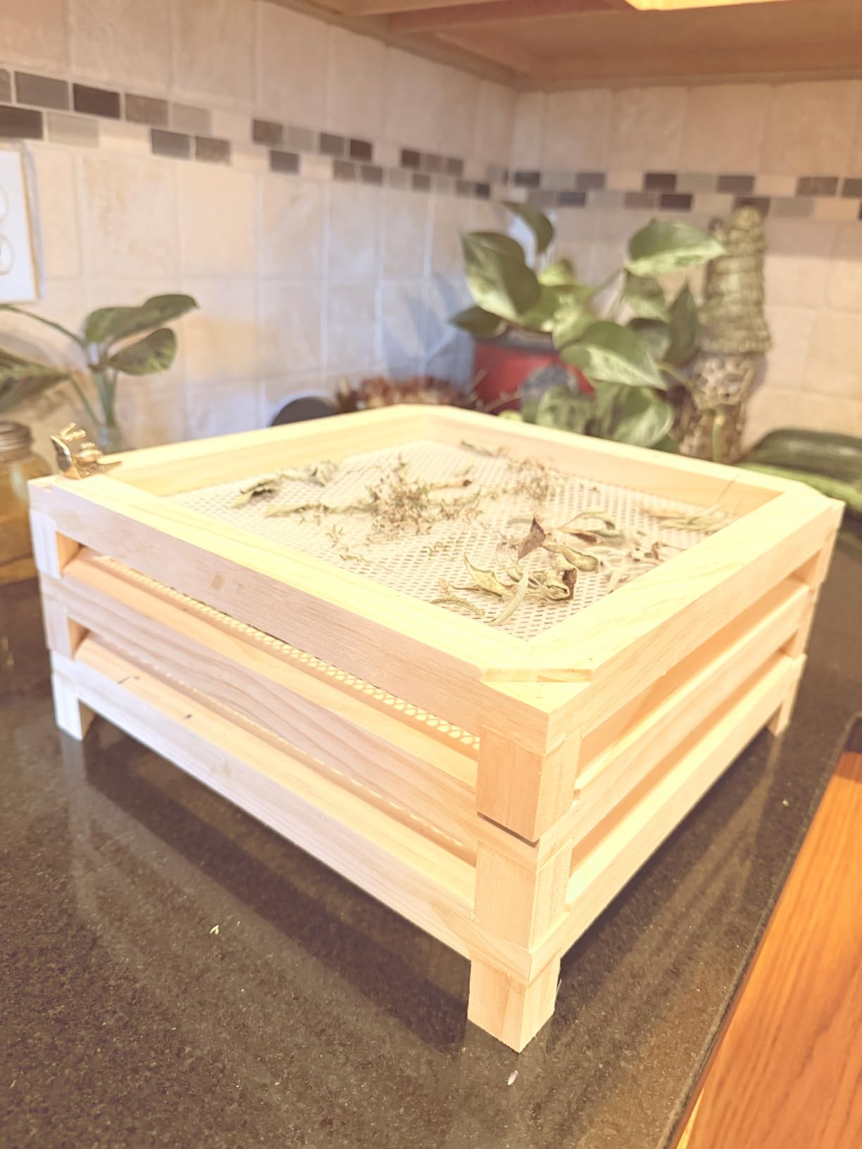 11.8in Square Wooden Herb Drying Rack, Stackable Mesh Countertop Dryer | No-Drill Mesh Rack Dried Herbs, Flowers, Pasta & Veggies customer photo 2