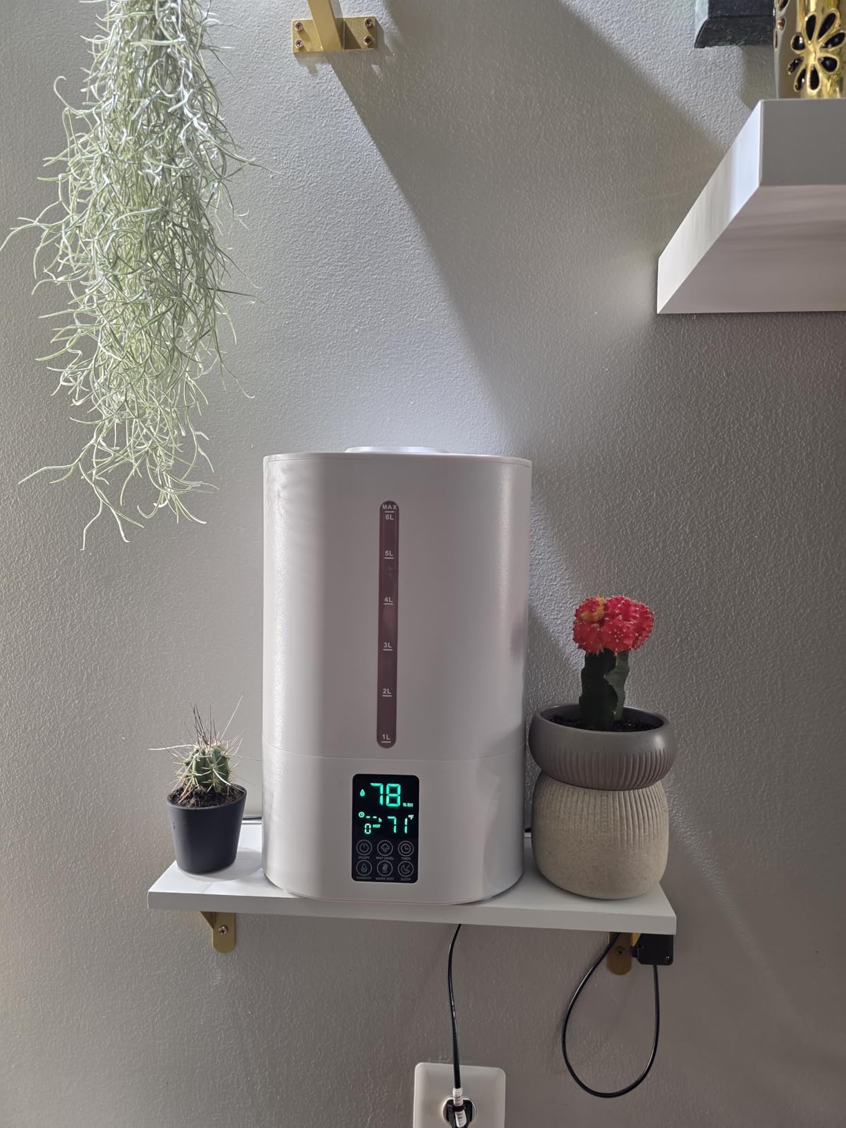 Coolfiqu 6L Warm & Cool Mist Humidifiers for Bedroom,Large Room,Plants | Quiet Top Fill Ultrasonic Humidifier,Essential Oil Diffuser, Auto Humidity Control,Hot Mist Desk Humidifiers,360° Nozzle customer photo 2