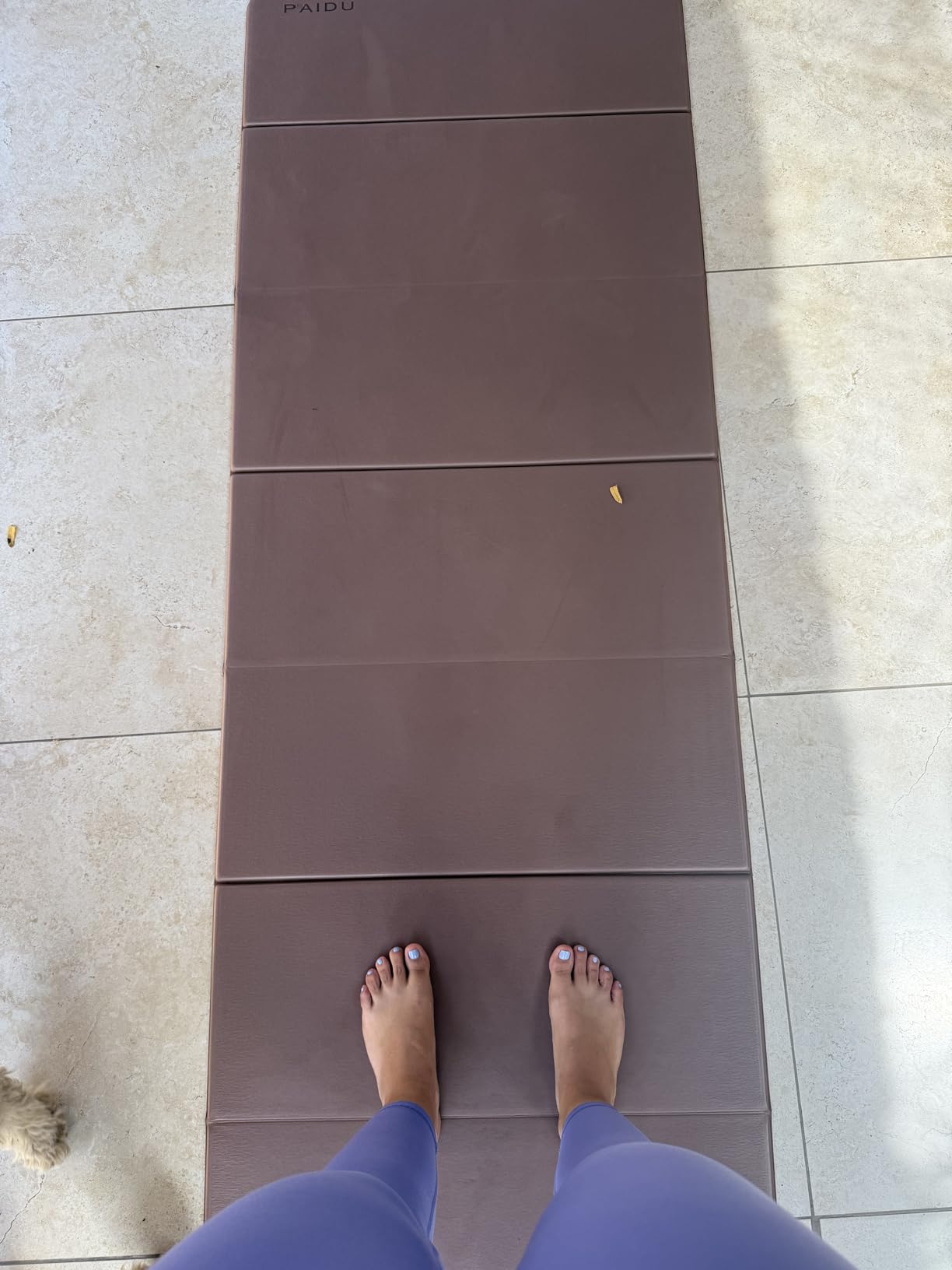 PAIDU Foldable Yoga Mat 10MM Thick SGS Certified TPE 75x26