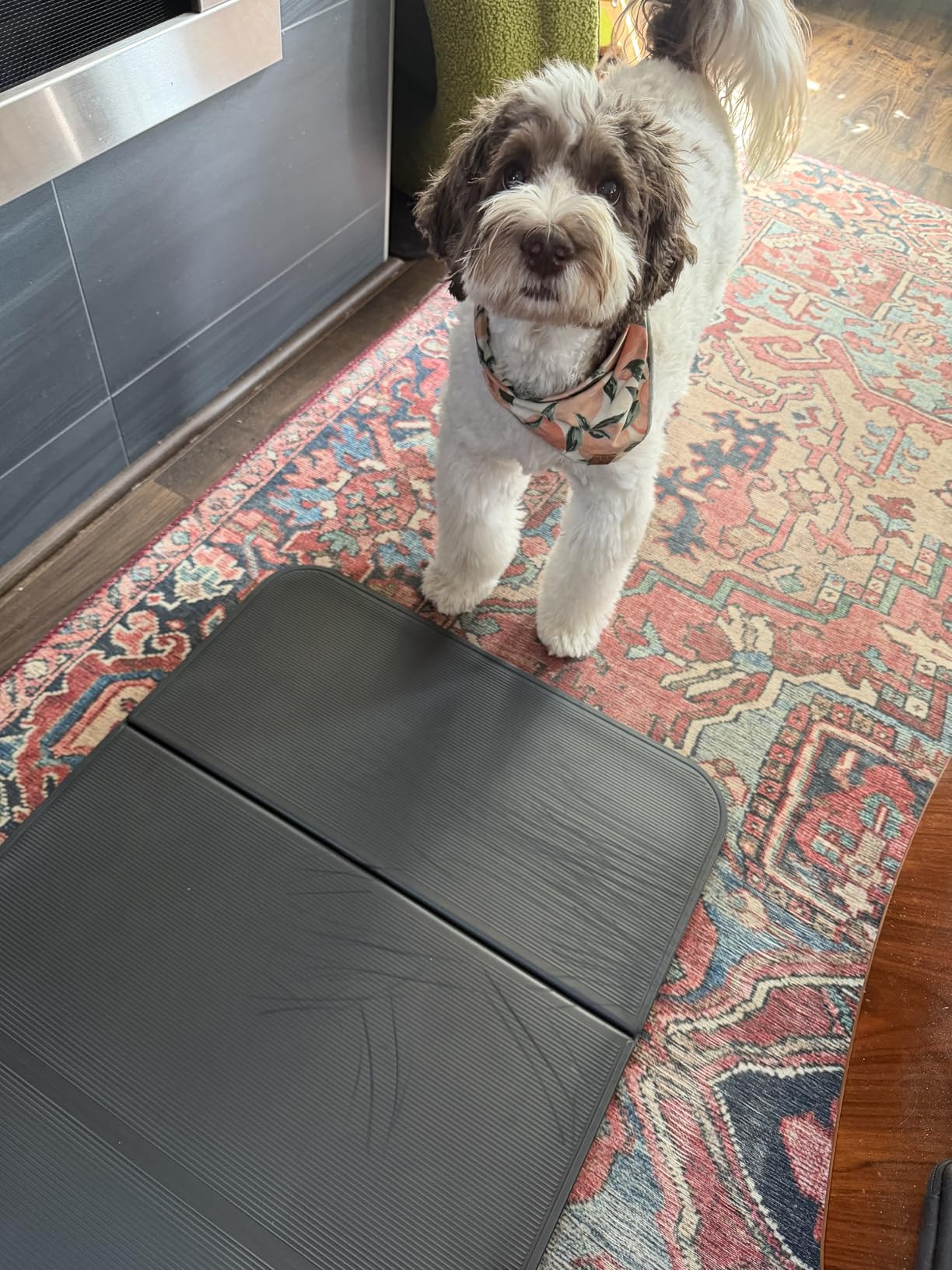 Stakt Foldable Yoga Mat Pro, 2 in 1 with Premium Textured Grip, Non Slip, Folding Exercise and Fitness Mat for Pilates, Strength Training, and High Impact Workouts customer photo 1