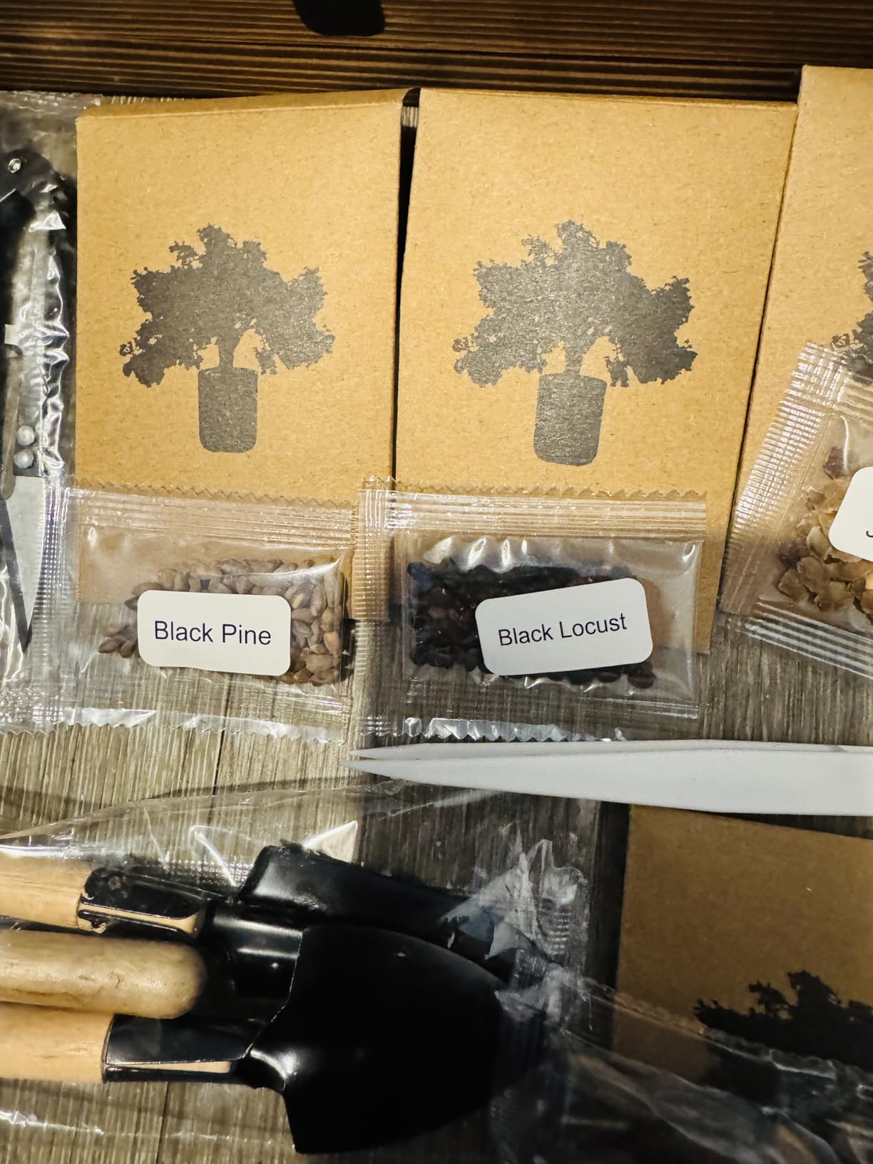 Bonsai Tree Kit - Complete Indoor Bonsai Starter Kit with 5 Unique Tree Seeds, Bonsai Tools - DIY Gardening Gift for Adults Women Men, Mom, Her, Friend (5 Bonsai Trees) customer photo 1
