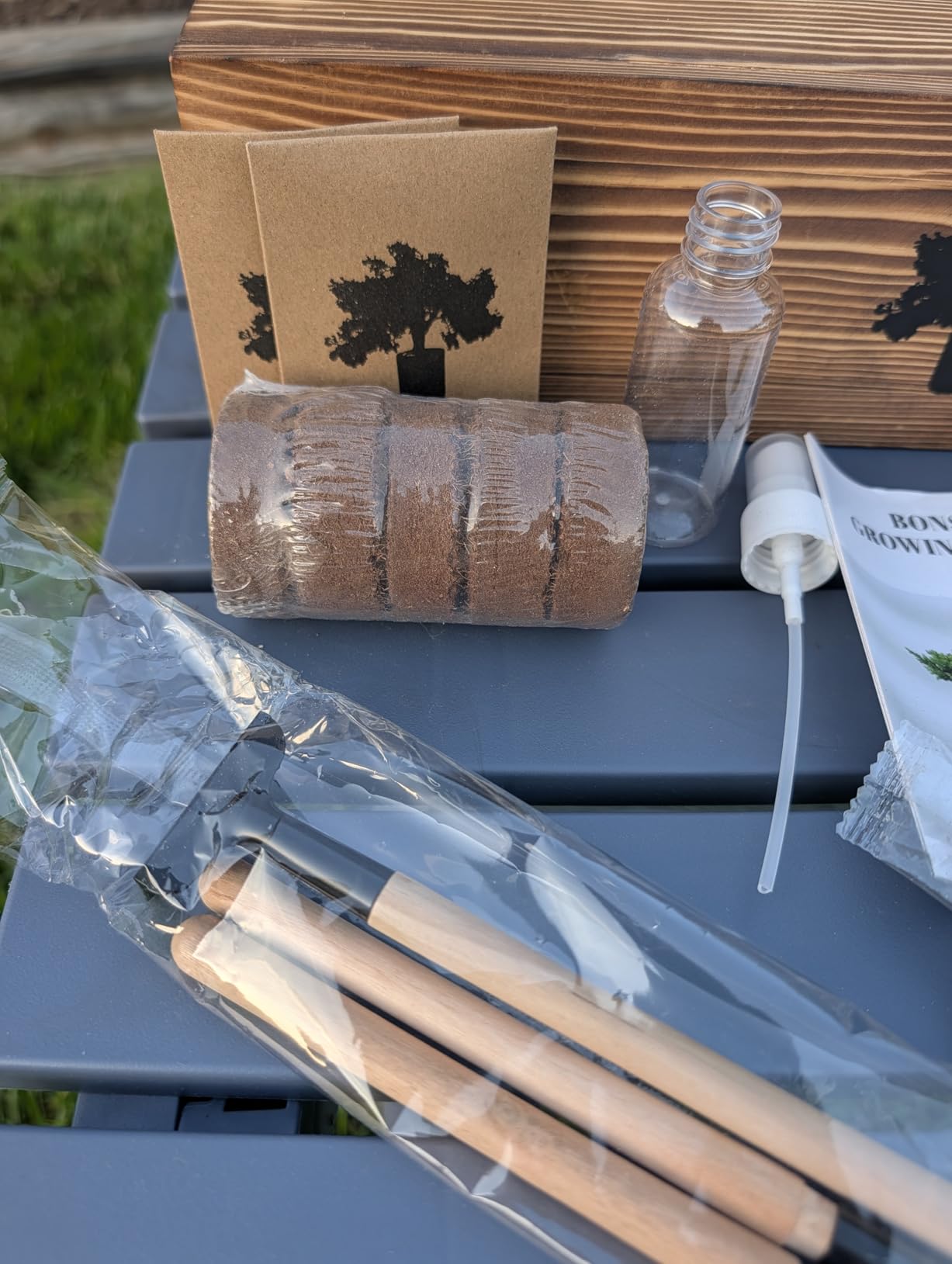Bonsai Tree Kit - Complete Indoor Bonsai Starter Kit with 5 Unique Tree Seeds, Bonsai Tools - DIY Gardening Gift for Adults Women Men, Mom, Her, Friend (5 Bonsai Trees) customer photo 2