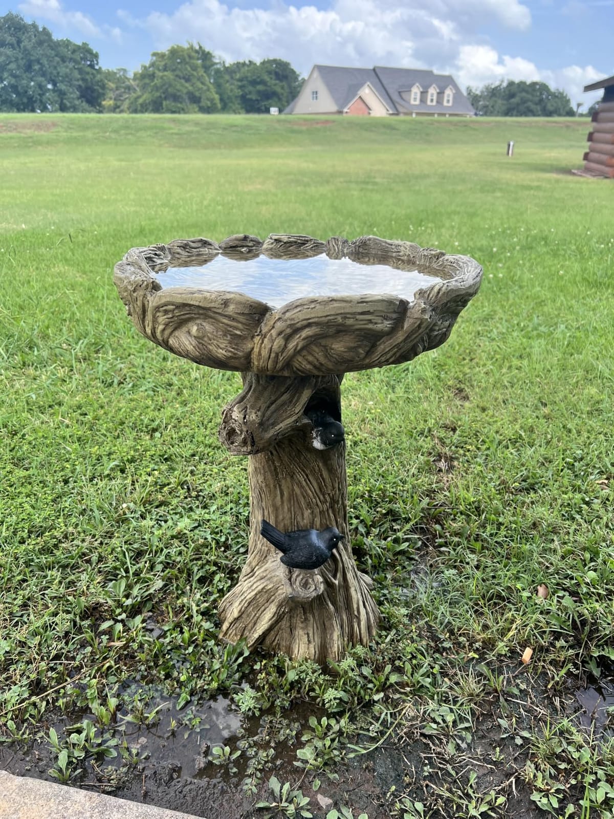 SKYFIRE Bird Baths for Outdoor - 23