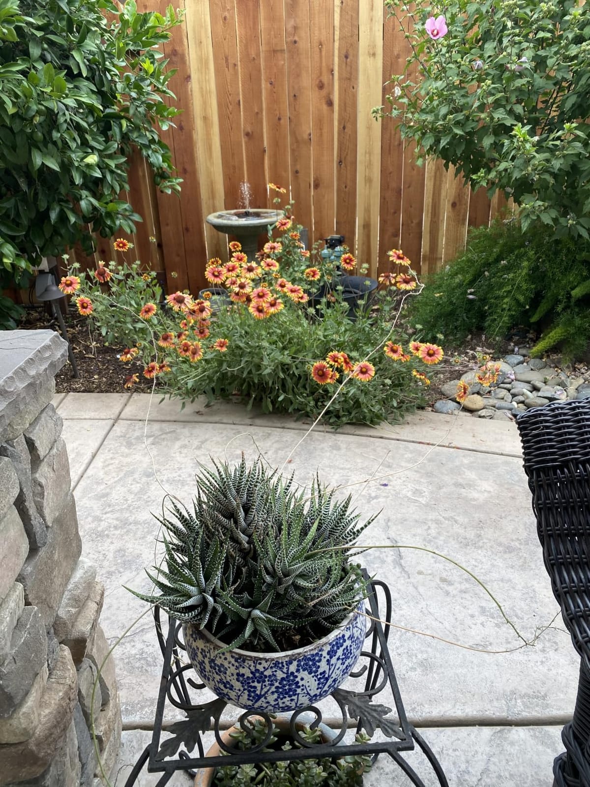 SKYFIRE Bird Baths for Outdoor - 23