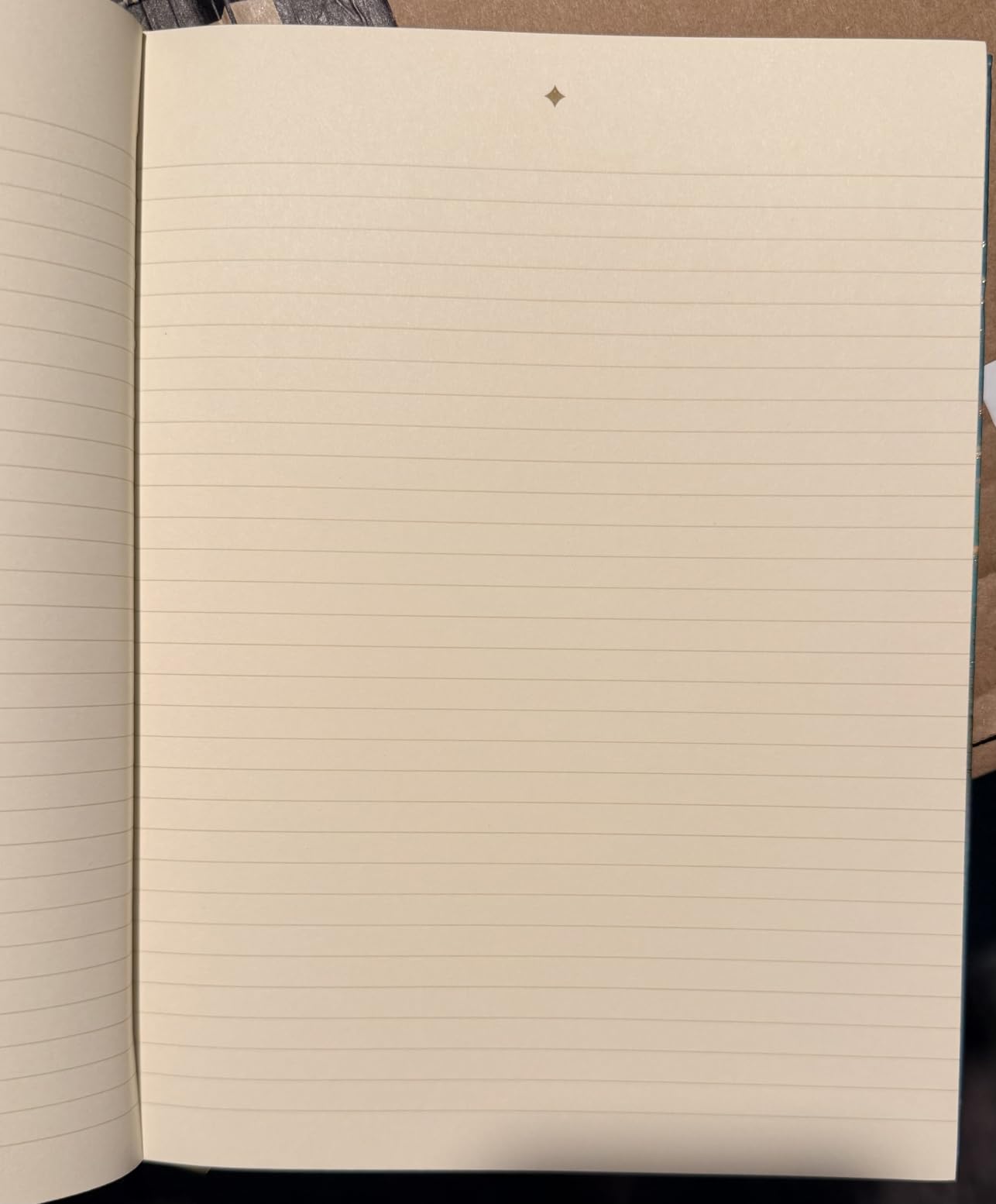 Moon Ritual Journal for Manifestation & Reflection - Guided New & Full Moon Calender (2026-2029), Hardcover Premium Notebook with Gold Edges, Thick Paper & Ribbon Bookmark - Spiritual Gift for Women customer photo 1