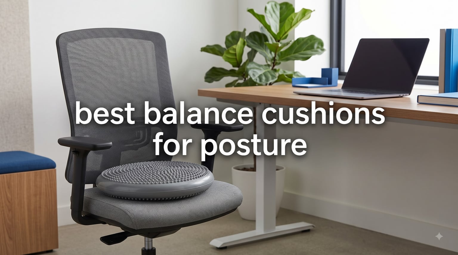 best balance cushions for posture