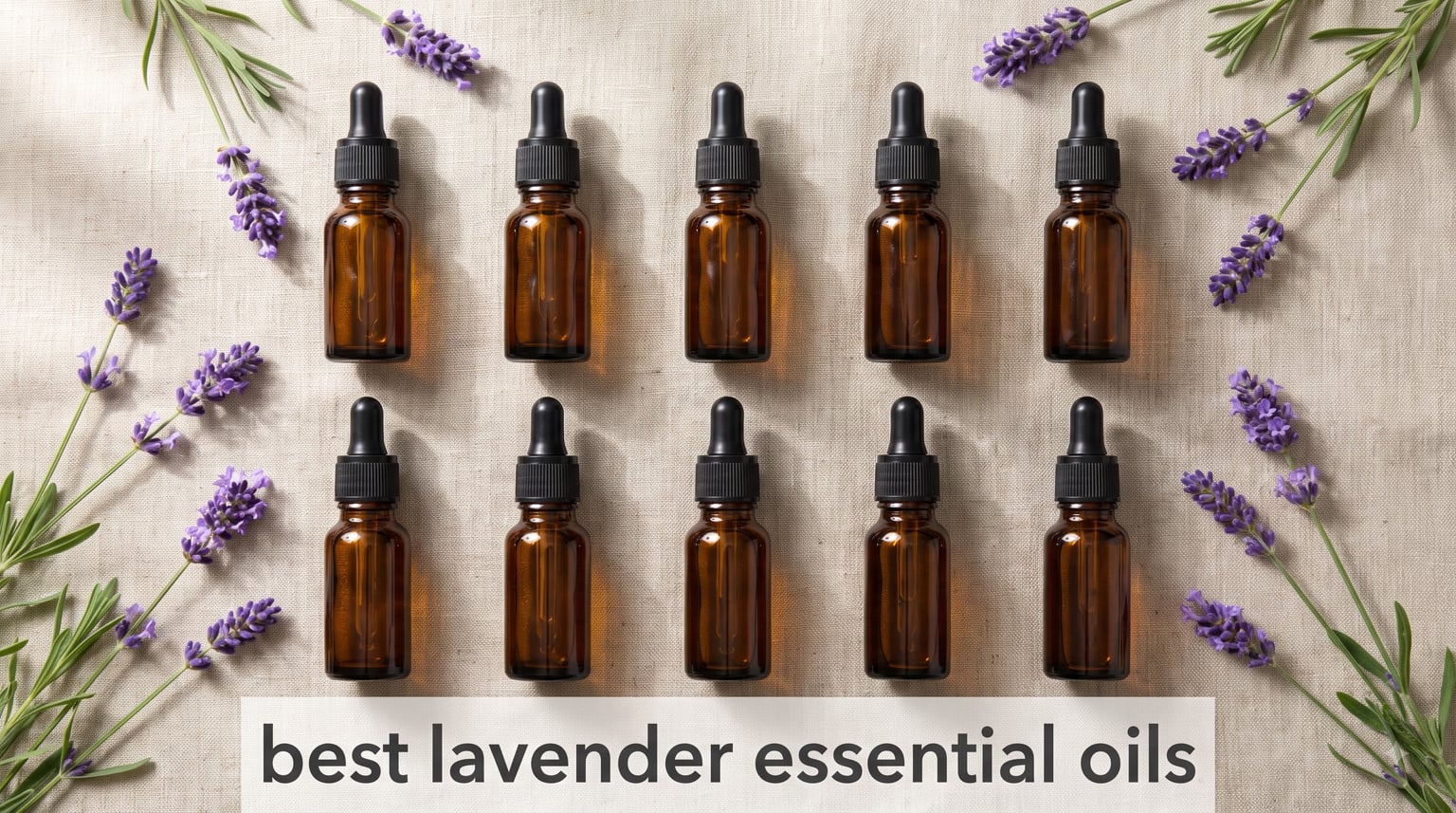 best lavender essential oils