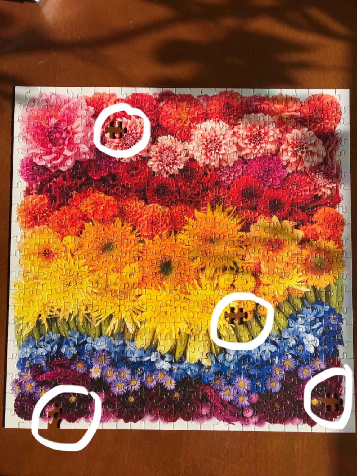 Galison - Rainbow Summer Flowers 500 Piece Jigsaw Puzzle for Adults | Color Gradient, Recycled Paper customer photo 1