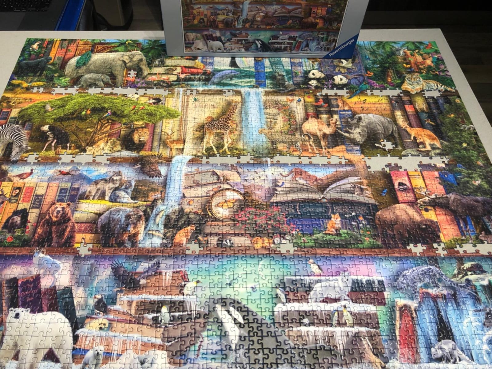 Ravensburger - Big Animal World - 2000 Piece Jigsaw Puzzle - Exciting View of the World's Apex Animals - Beautiful Imagery - Frameable - Premium Quality - Ideal Gift - Puzzles for Adults customer photo 1