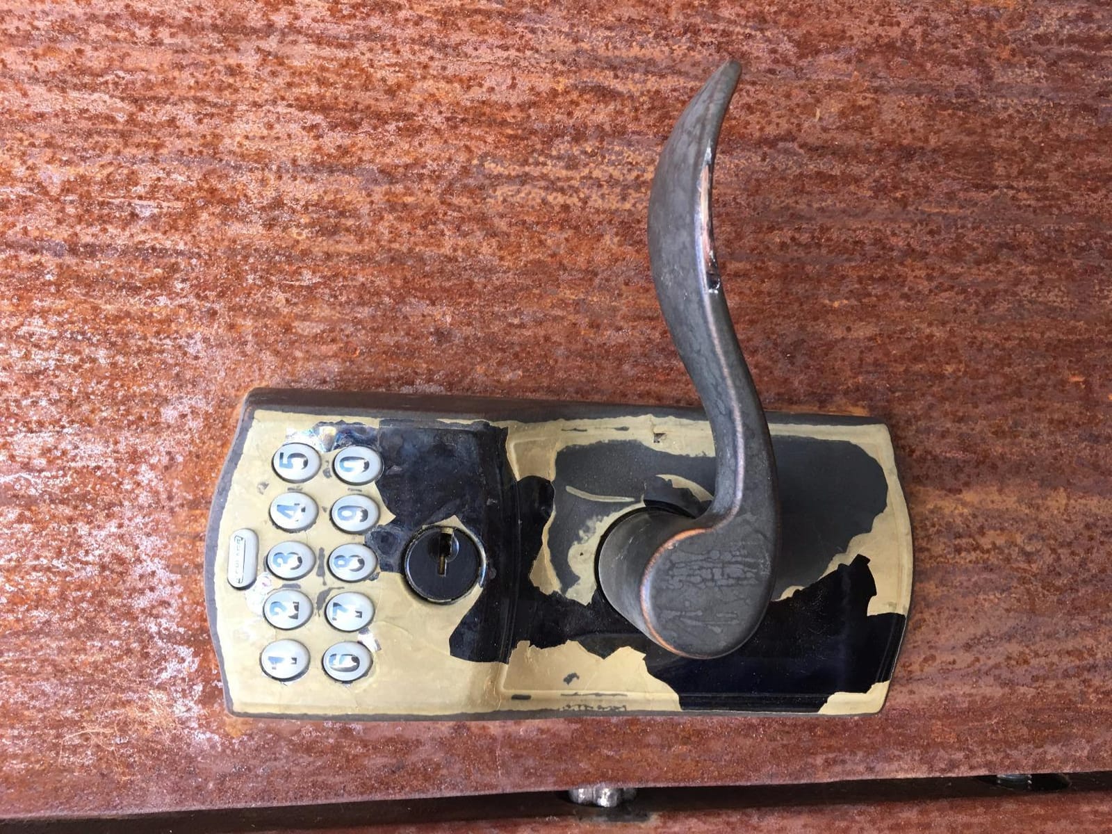Schlage Camelot Keypad Lock with Lever Handle, Electronic Keyless Door Entry, Flex Lock Auto-Lock Option, Satin Chrome, FE595 CAM 626 ACC customer photo 1