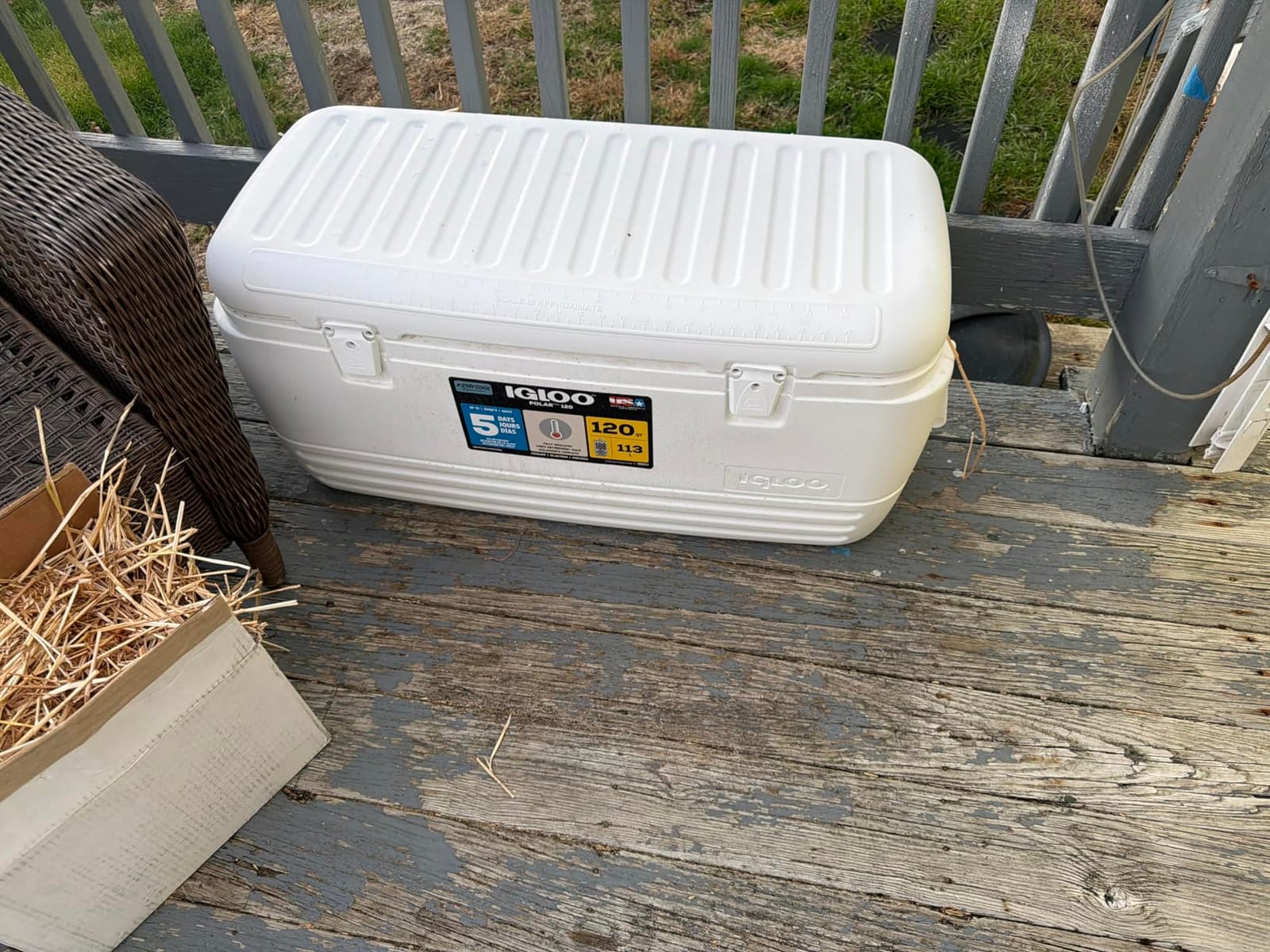 Igloo Polar & Party Bar Series Hard Cooler, Insulated Ice Chest customer photo 1