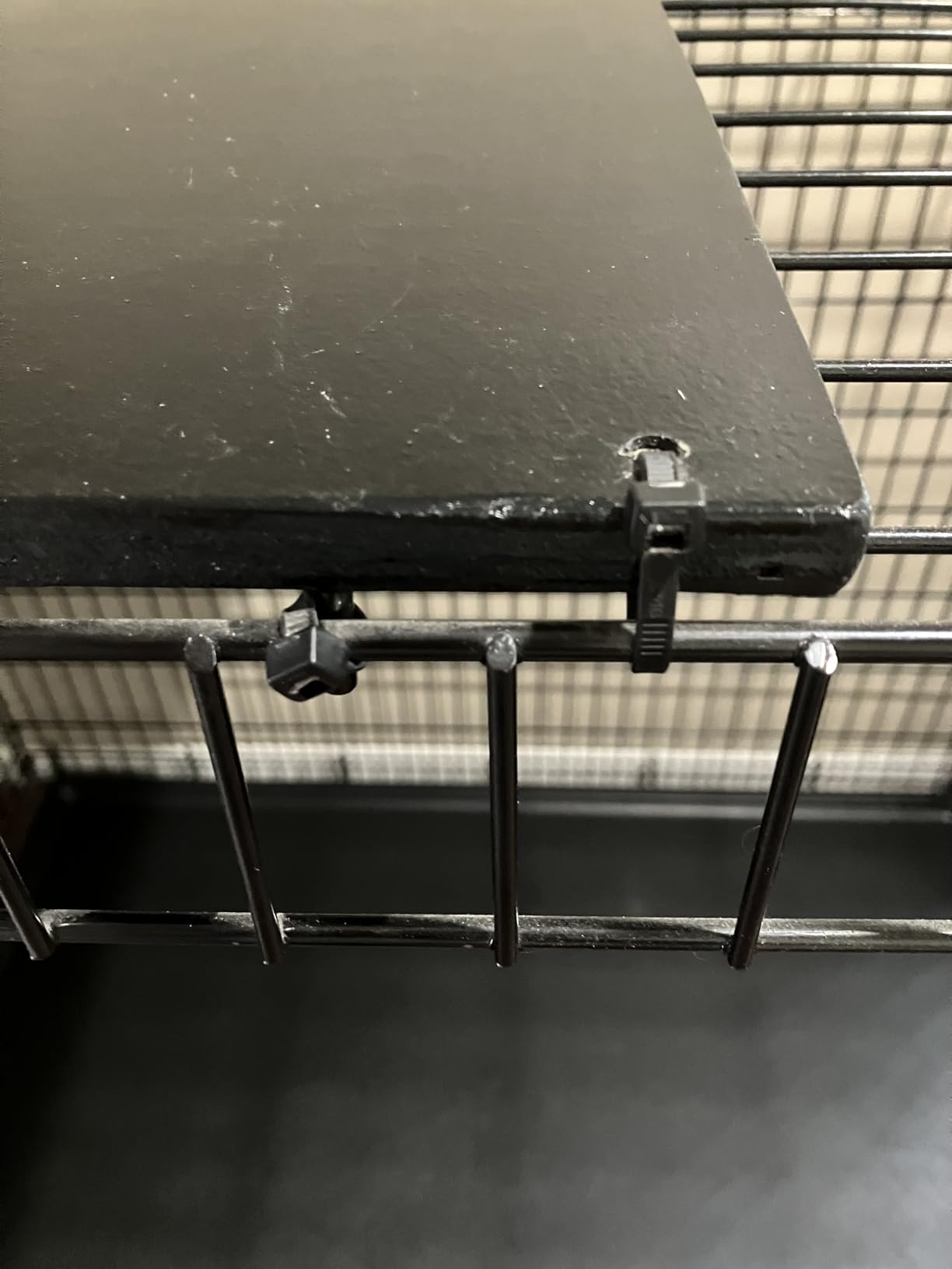 Solutions by Midwest 54-Inch Double Door Crate, Giant Breed Dogs, 100+ lbs customer photo 1
