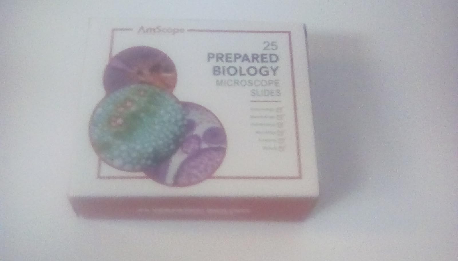 AmScope PS25P Prepared Microscope Slides, Plastic Case, 25pc customer photo 1