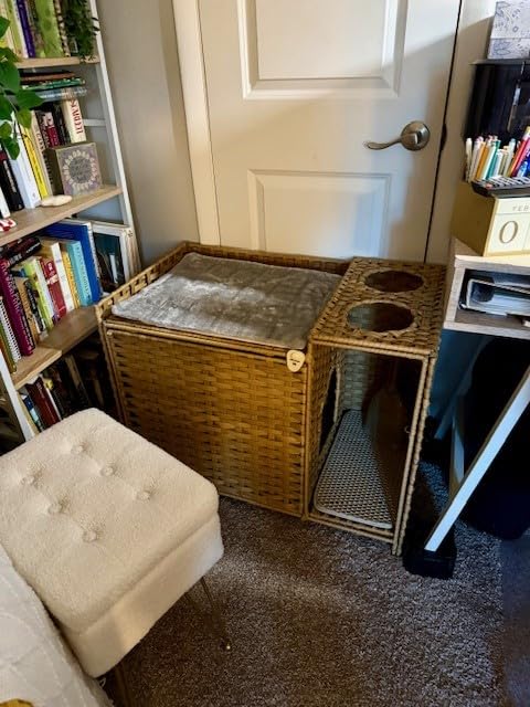 Arm & Hammer Rimmed Cat Litter Box with High Sides and Microban, Made in USA customer photo 1