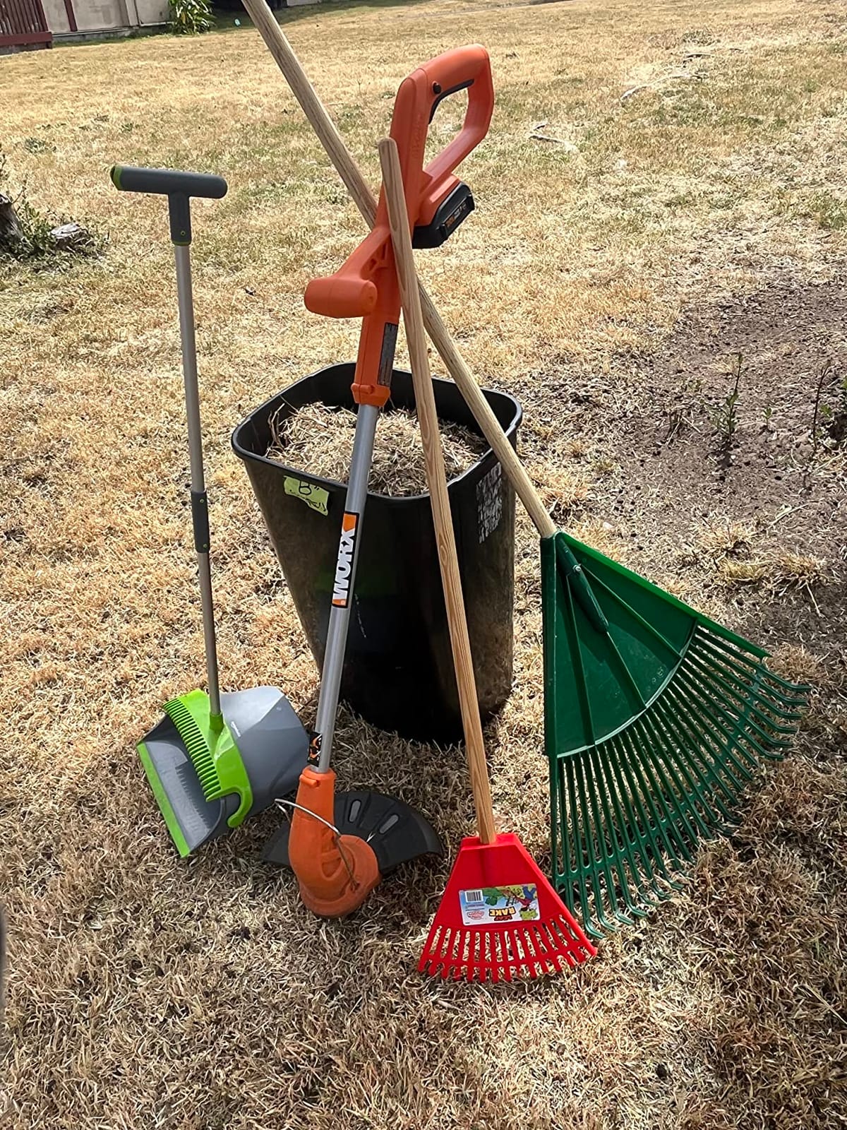 Worx 20V 10