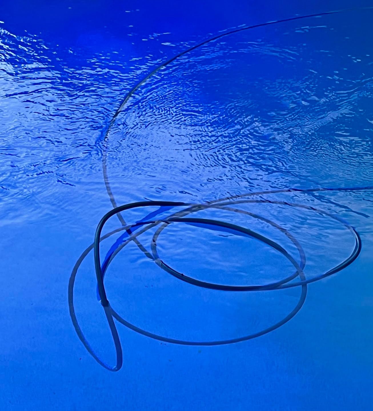 Dolphin Automatic Robotic Pool Vacuum Cleaner, Wall Climbing Scrubber Brush, Smart Navigation, Ideal for In-Ground Pools up to 40FT in Length - Nautilus CC Plus customer photo 1