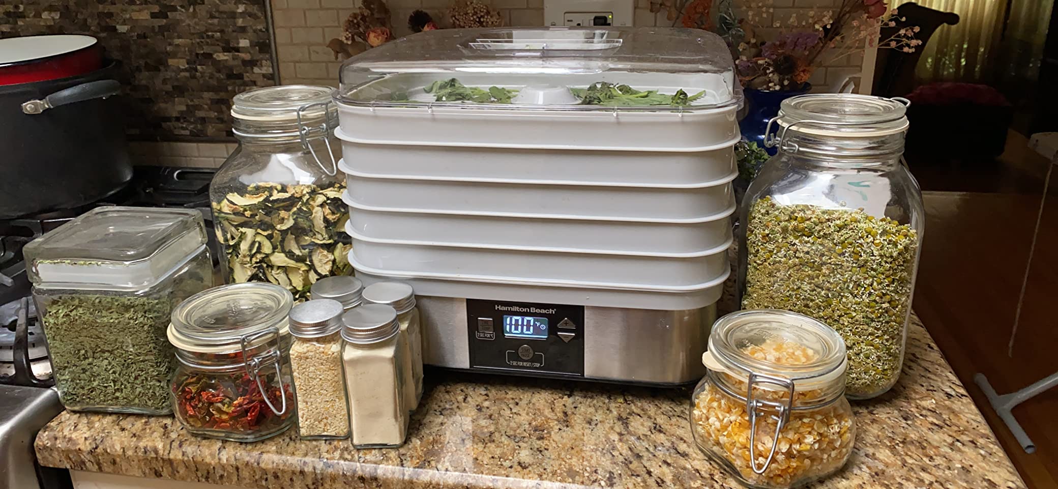 Hamilton Beach Digital Food Dehydrator for Fruit, Jerky, Vegetables & More | 5 Stackable Trays For 4.2 sq. ft. Of Drying Space | Adjustable 100-160ºF Temperature | 48 Hour Timer + Auto Shutoff | Grey customer photo 2
