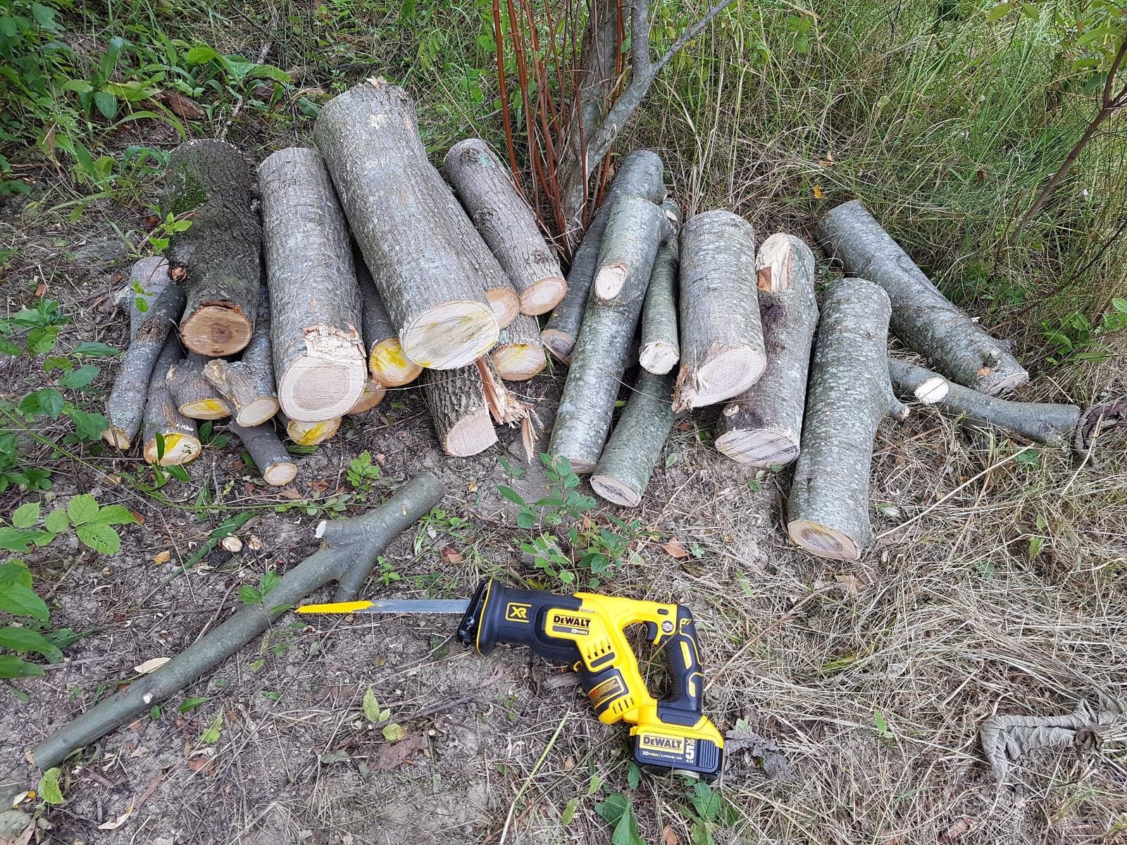 DEWALT 20V MAX XR Reciprocating Saw Cordless, Brushless, Compact,Variable Speed, Pivoting Head, LED Light, Tool Only (DCS367B) customer photo 2
