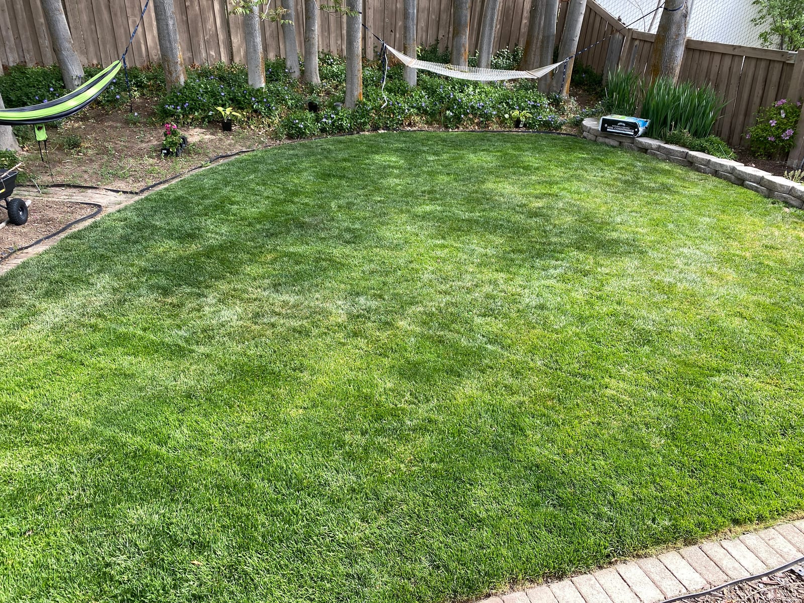 Black+Decker 40V MAX 13 Inch String Trimmer and Lawn Edger with Battery and Charger (LST140C) customer photo 1