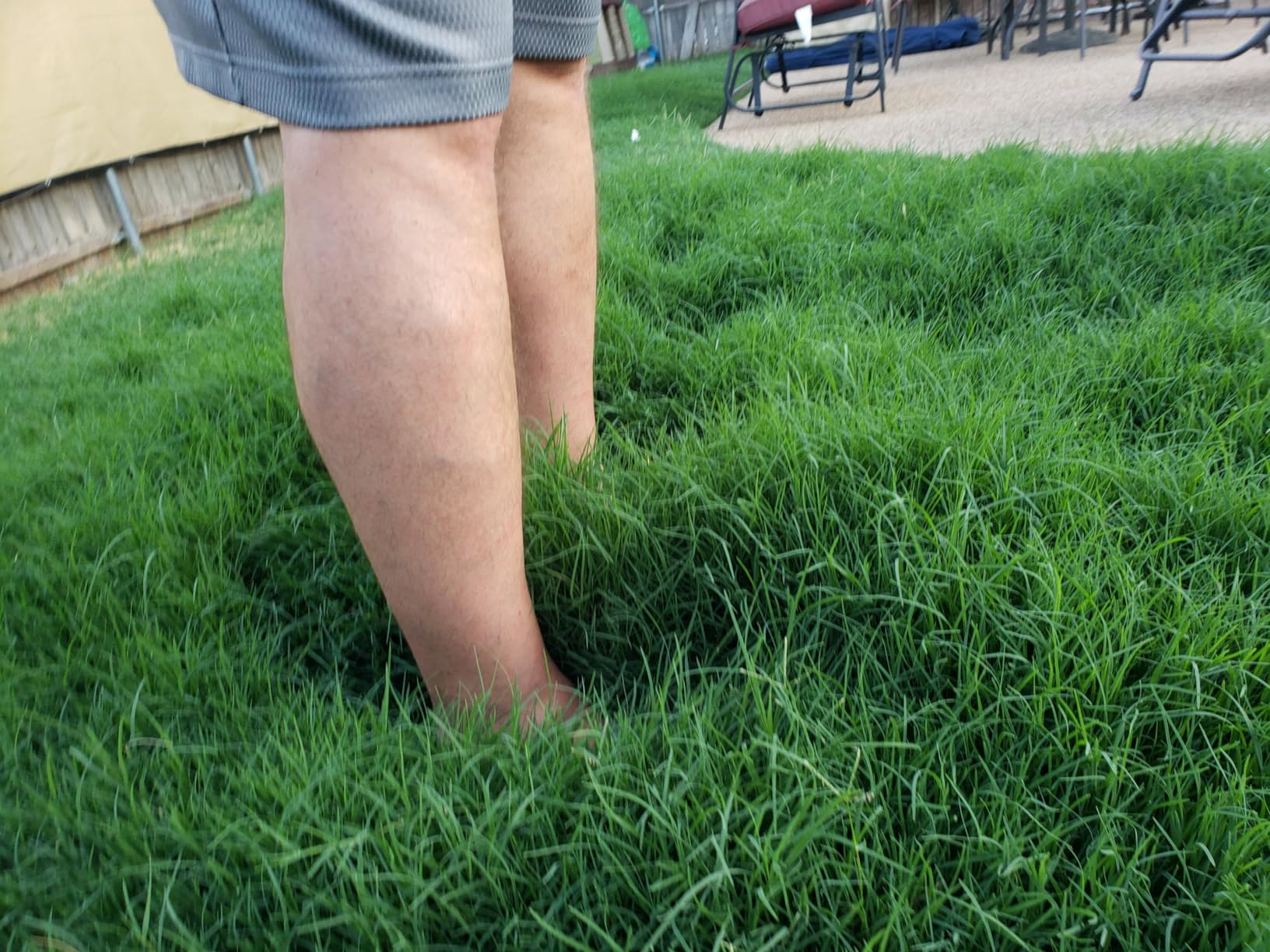 Black+Decker 40V MAX 13 Inch String Trimmer and Lawn Edger with Battery and Charger (LST140C) customer photo 2