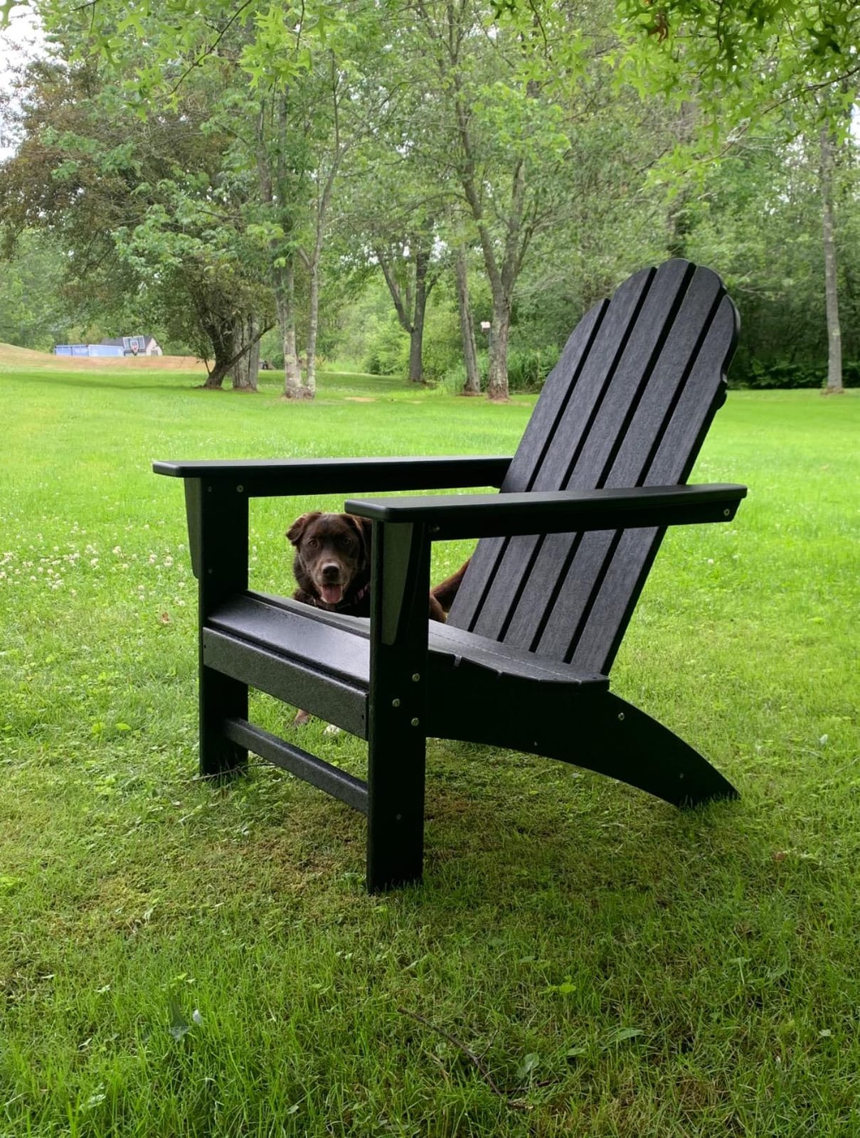 Polywood Vineyard Adirondack Chair, Outdoor Patio Furniture, All-Weather Composite, Pool Deck Garden Chair, Made in USA, Slate Grey customer photo 2