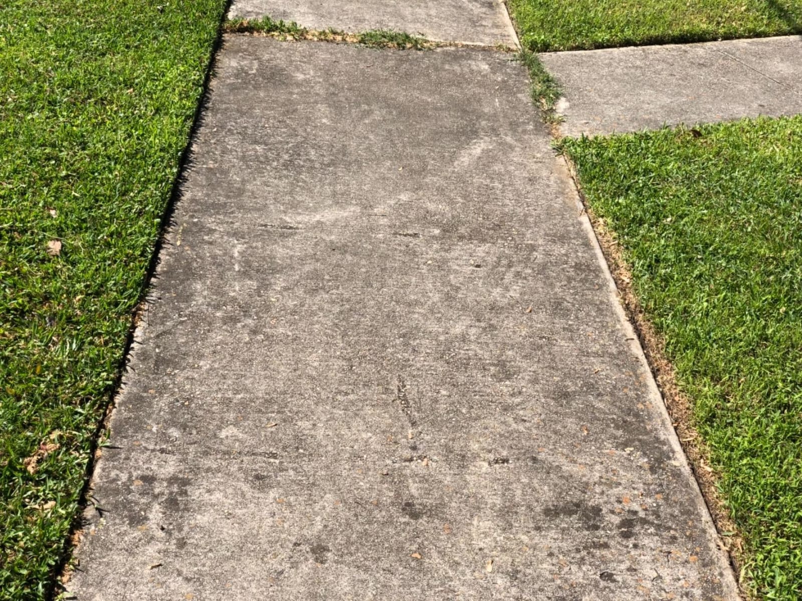 BLACK+DECKER Lawn Edger Trencher 2 in 1, 12 Amp 7.5 in. Electric Edger Lawn Tool for Landscaping and Trench Digger, 3 Height Settings, Corded (LE760FF) customer photo 2