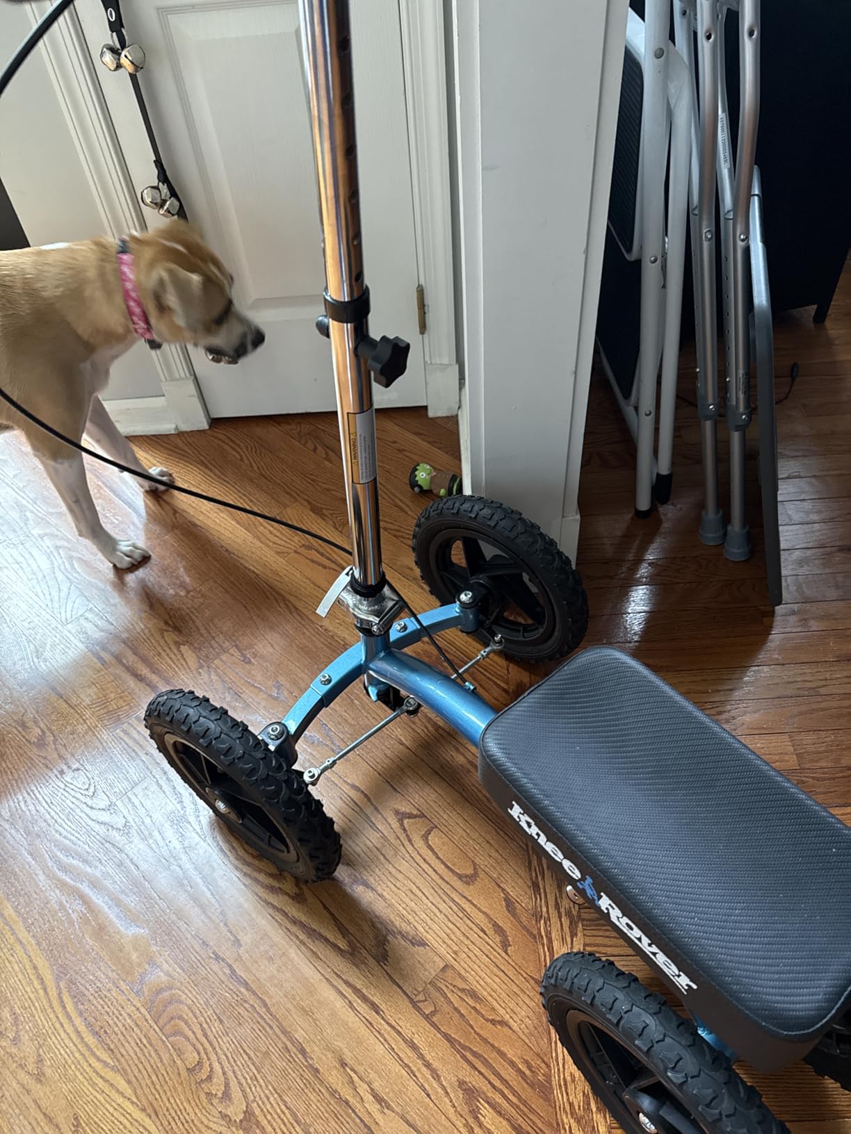 KneeRover Quad All Terrain Knee Scooter for Adults, Metallic Blue customer photo 1