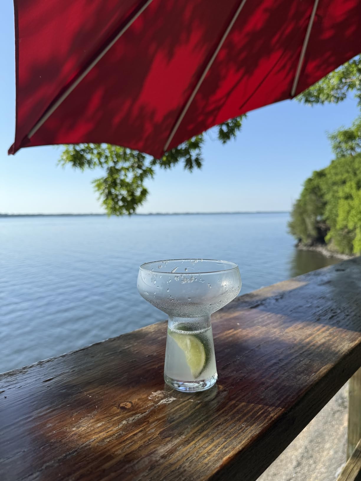 Libbey Stemless Margarita Glasses Set of 6, 10.25 ounces Classic Lightweight Margarita Cups, Fancy Glassware Set for Celebrations customer photo 2
