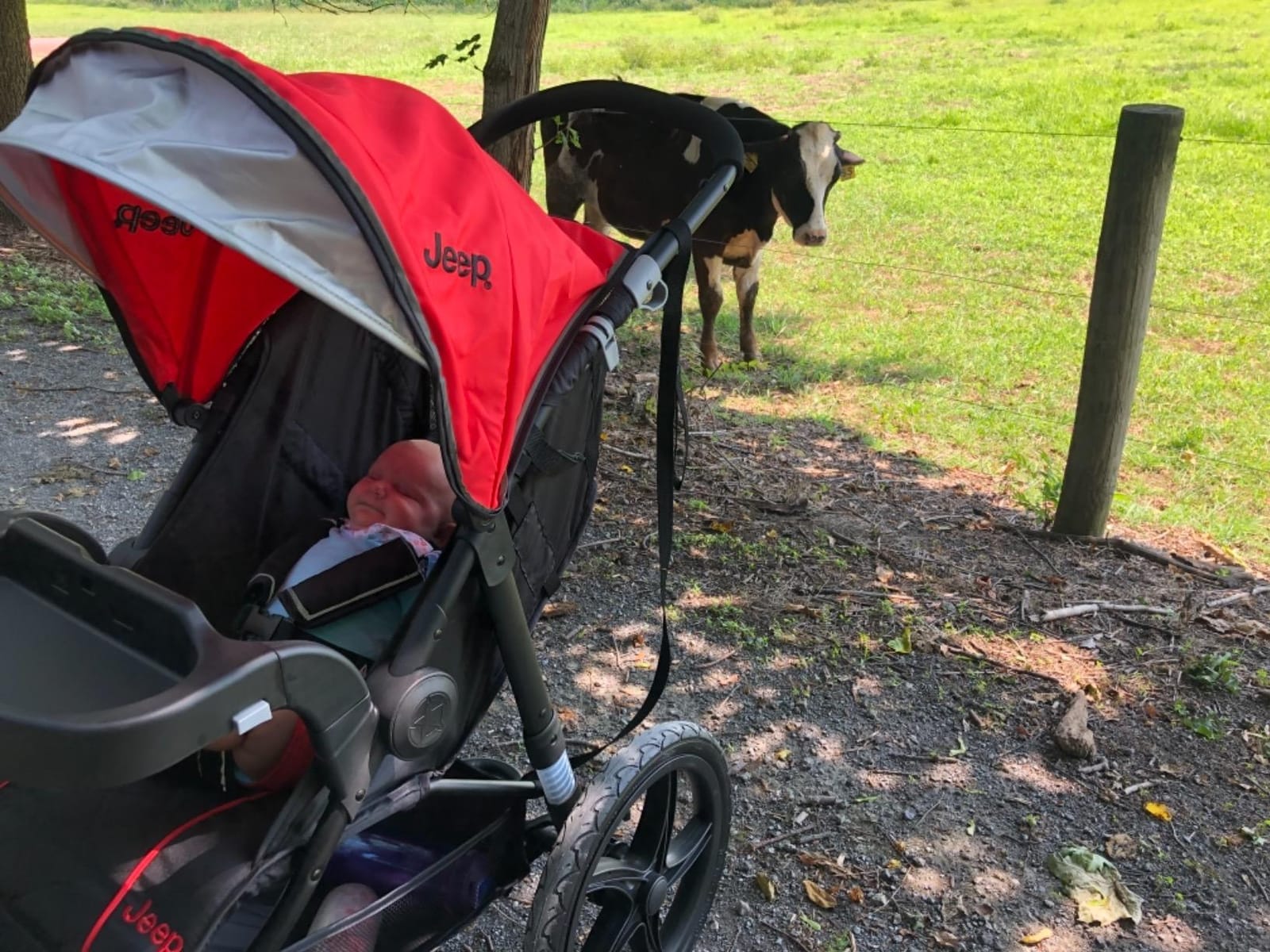 Jeep Classic Jogging Stroller by Delta Children, Grey customer photo 1