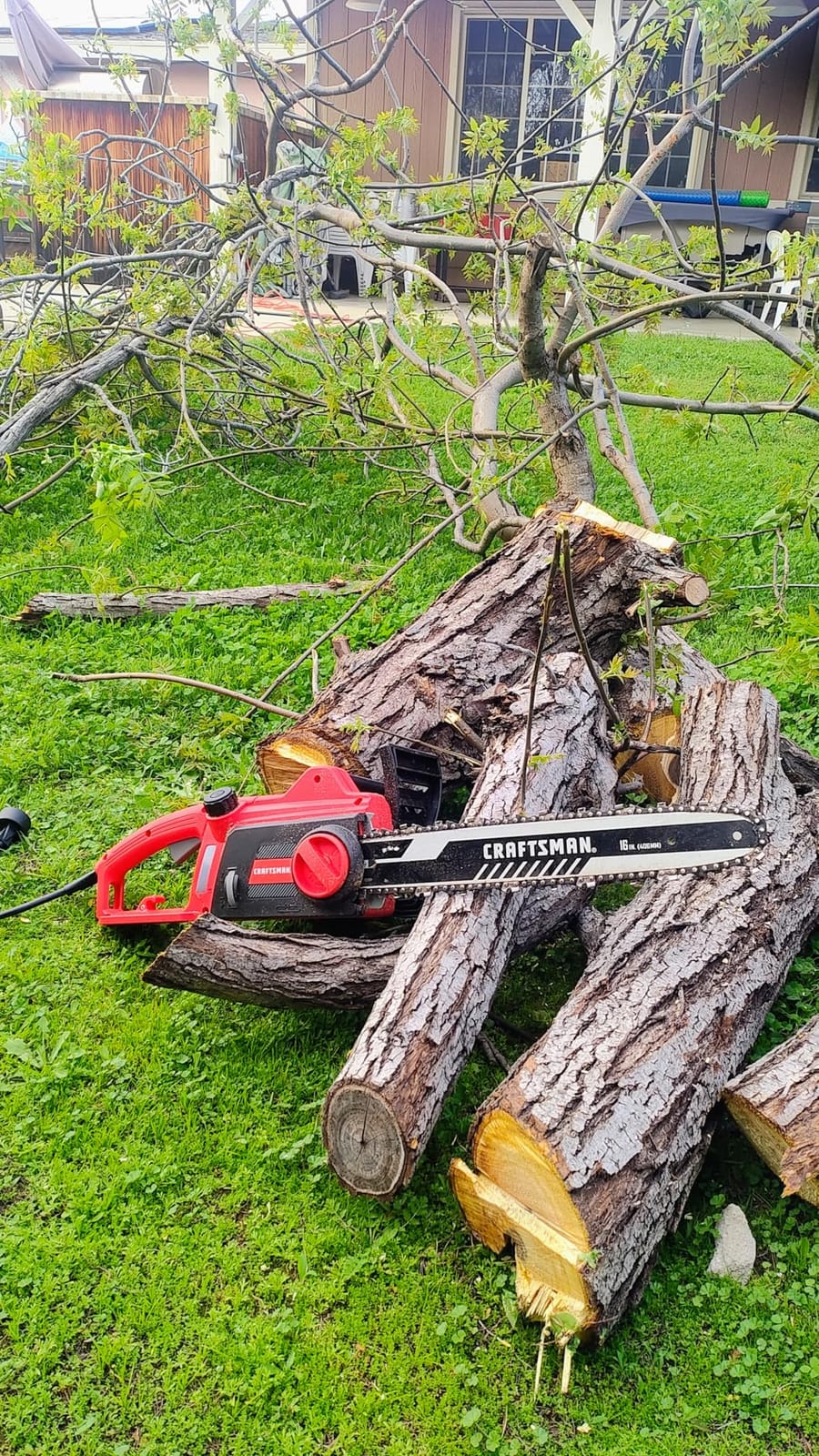CRAFTSMAN Electric Chainsaw, 16 Inch, 12 Amp Corded Chain Saw Electric, Ergonomic, Powerful Motor (CMECS600) customer photo 1
