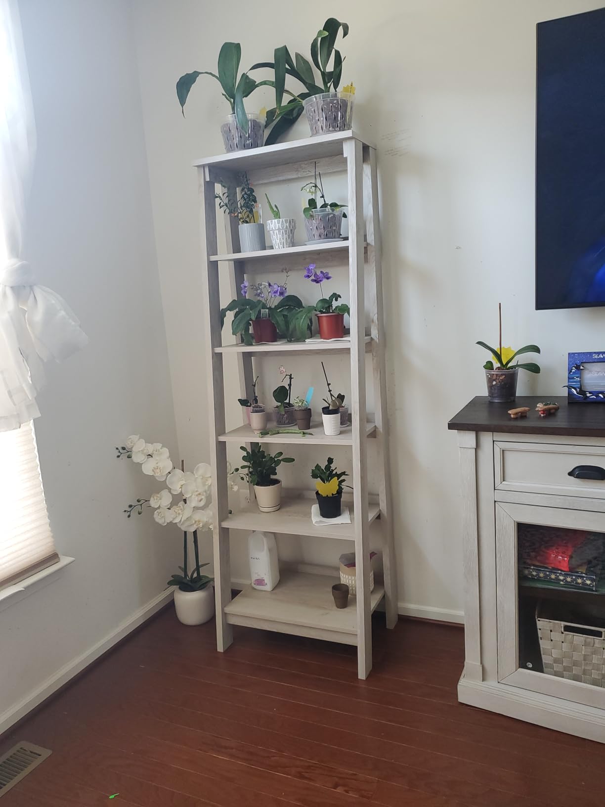 Sauder Trestle 5-Shelf Bookcase/ Book Shelf, Vintage Oak finish customer photo 2