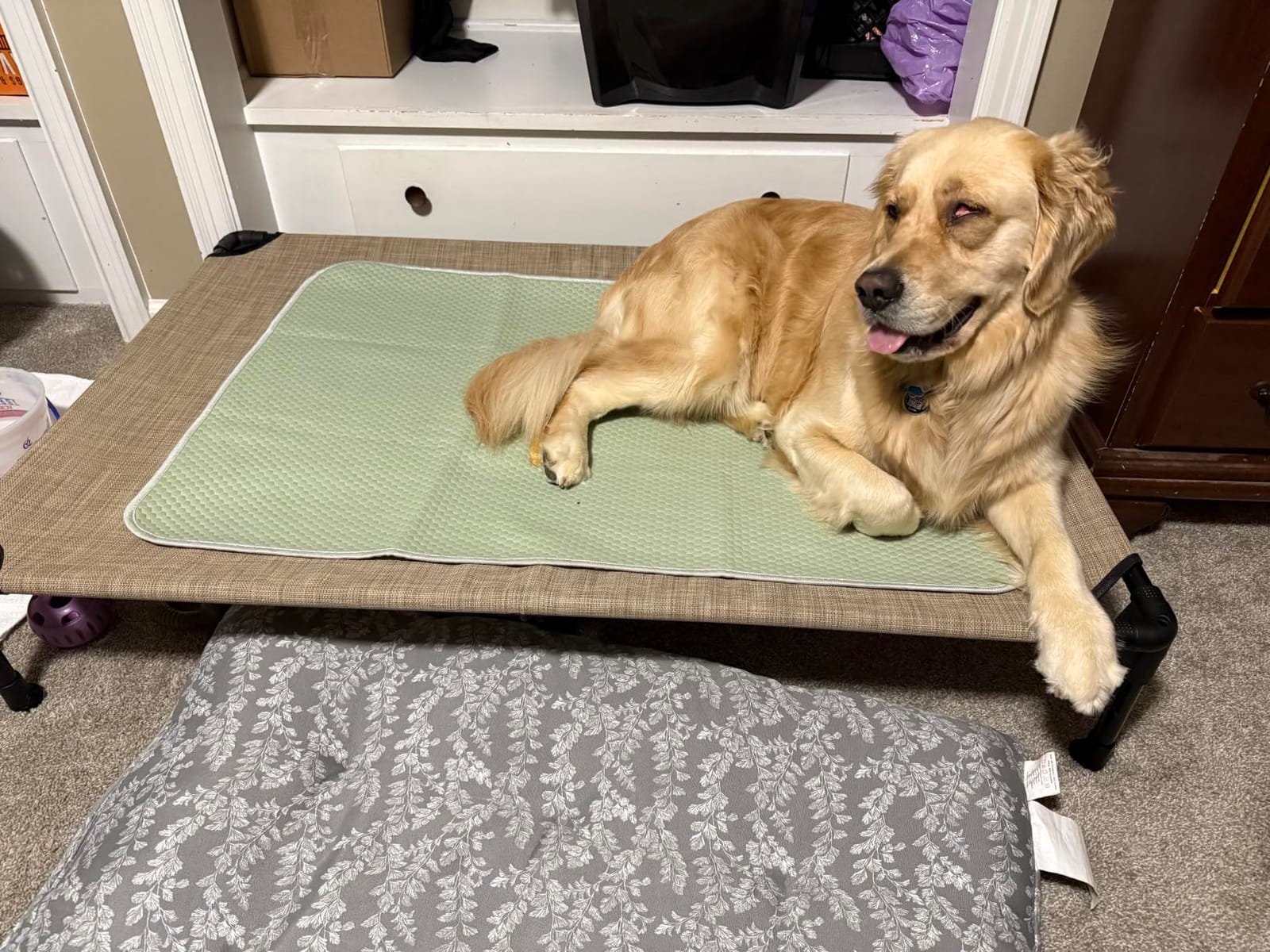 Veehoo Outdoor Elevated Dog Bed Large Sized Dogs, Cooling Raised Dog Cots | Off-ground training platform, portable camping hammock, breathable mesh, easy to clean, no-tool setup, 42