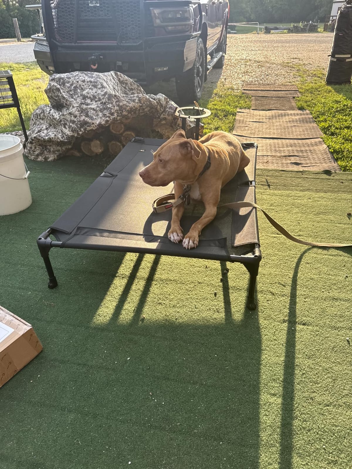Veehoo Outdoor Elevated Dog Bed Large Sized Dogs, Cooling Raised Dog Cots | Off-ground training platform, portable camping hammock, breathable mesh, easy to clean, no-tool setup, 42