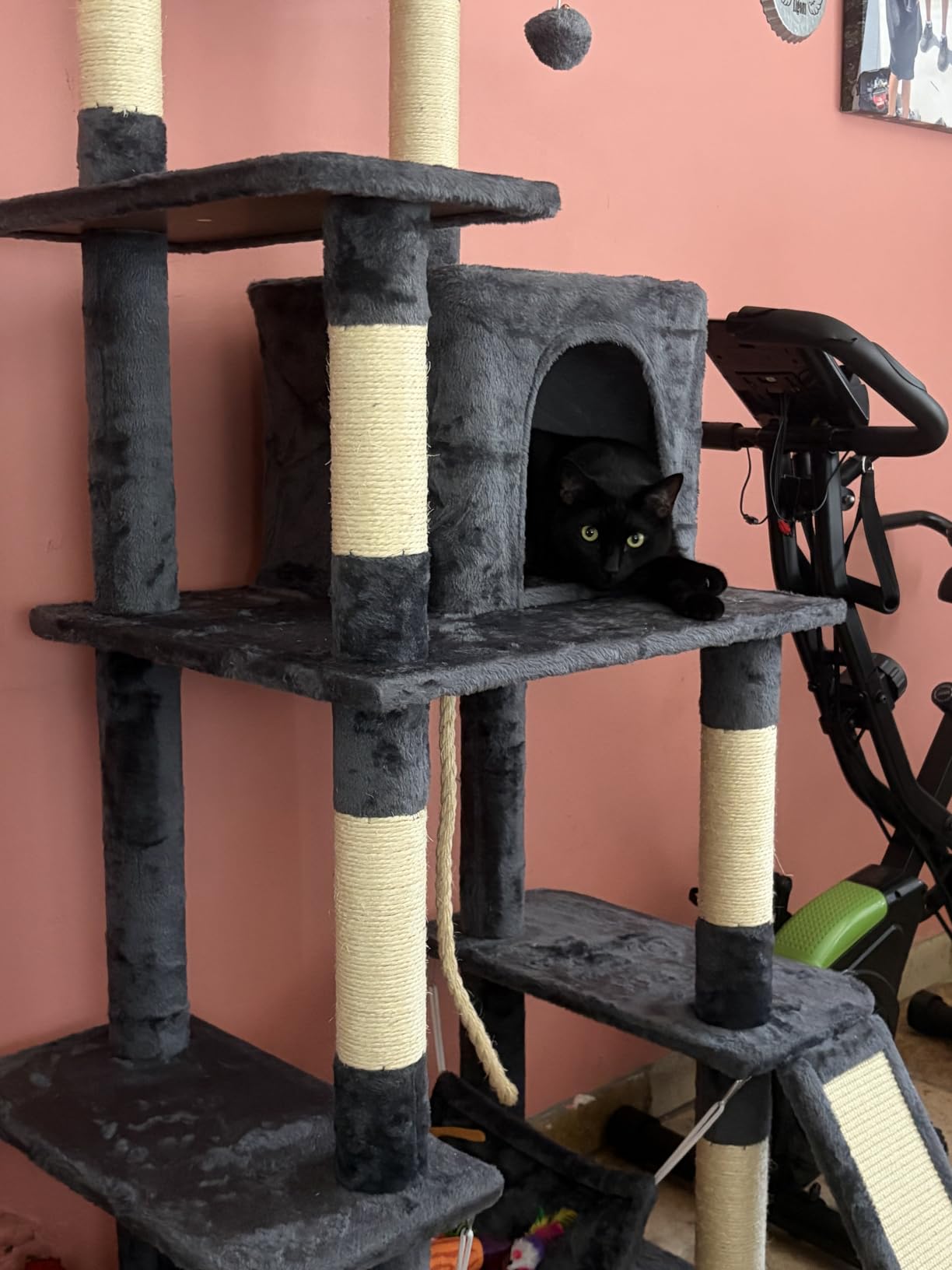 Yaheetech 63in Sturdy Large Cat Tree for Indoor Heavy Cats, Tall Tower | Plush condo, hammock, sisal scratching posts, multi-pet friendly, easy to assemble, stable wide base customer photo 1
