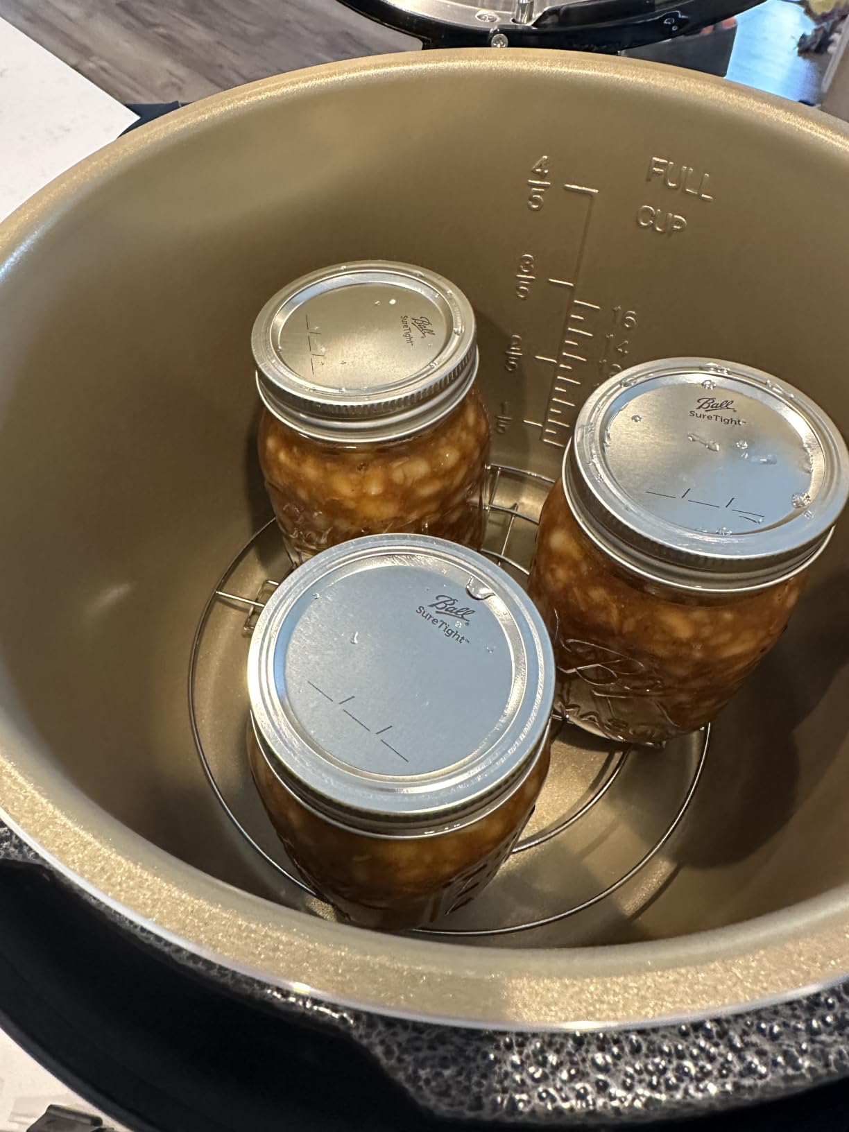 NESCO NPC-9 Smart Electric Pressure Canner and Cooker, 9.5-Quart Stainless Steel customer photo 1