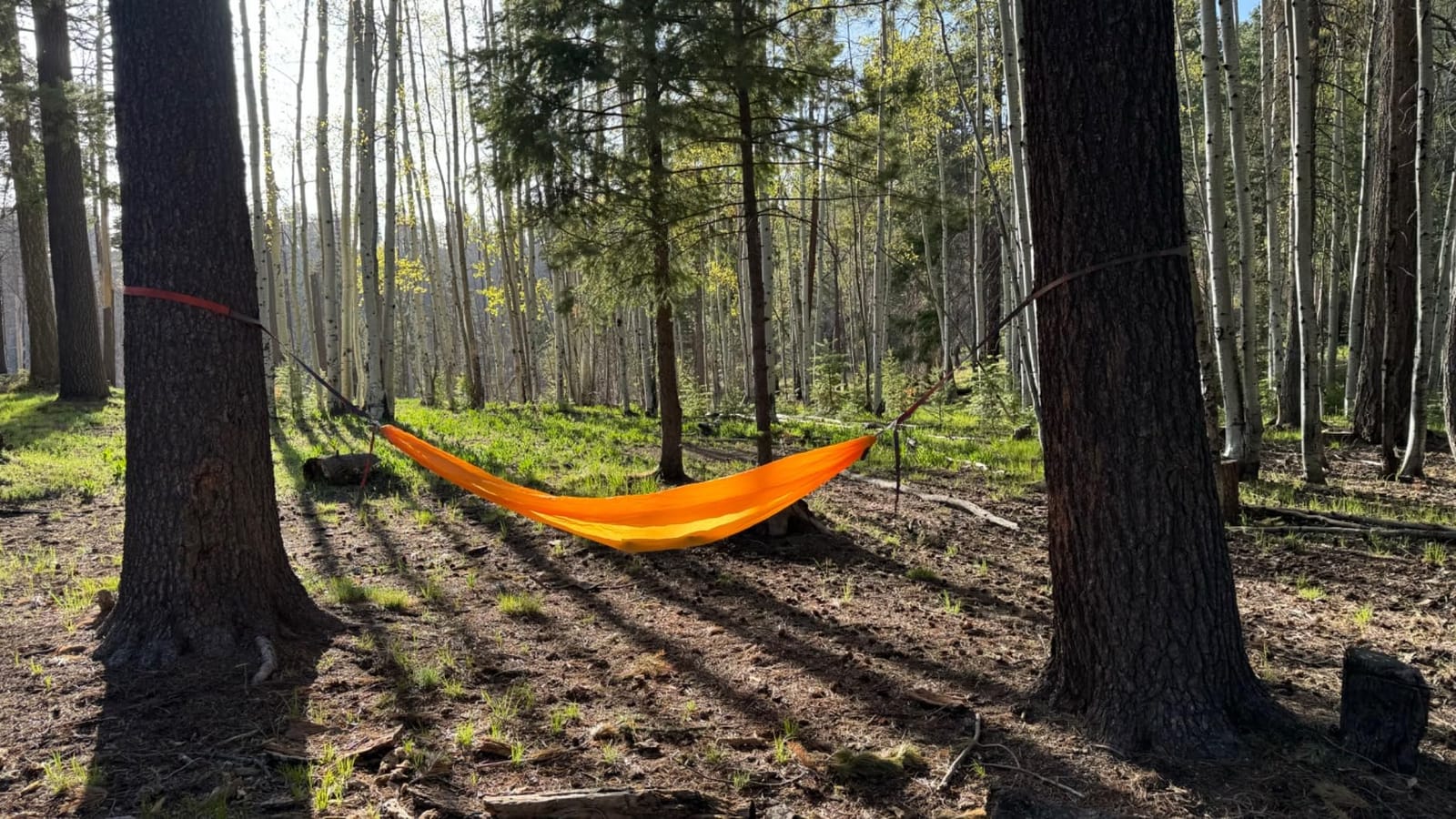 KAMMOK Roo Single Ultra Light Hammock | Strong & 100% Recycled Fabric | Water Resistant, Ripstop Fabric | Comfortable, Packable, Lightweight customer photo 2
