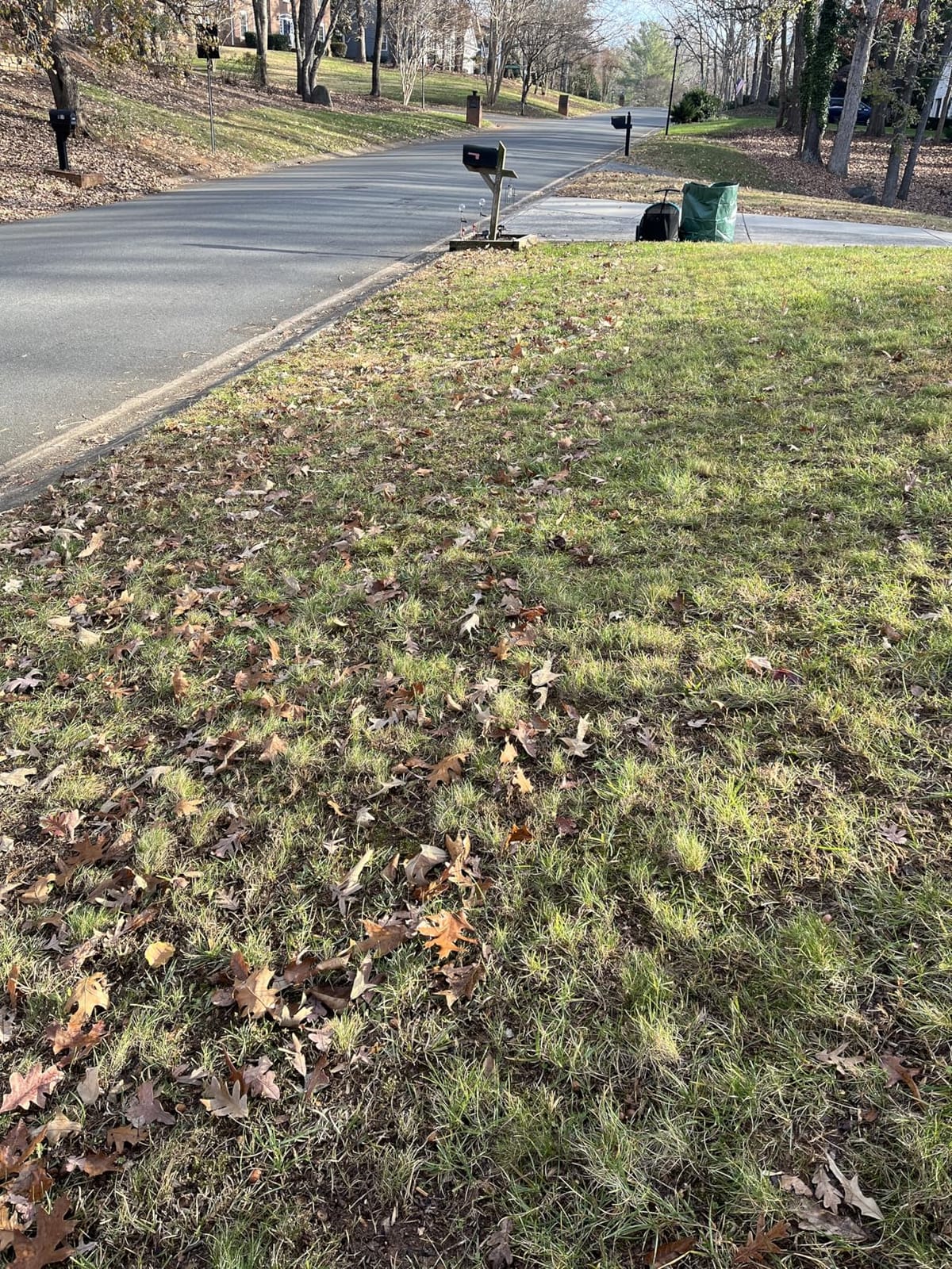 GARDENA Lawn & Leaf Collector Sweeper - Manual Lawn Sweeper - Large Capacity Hopper Bag - Adjustable Height Wide Brush Pickup - Easy to Maneuver Yard Debris Collector - Space Saving Storage - 03565 customer photo 1