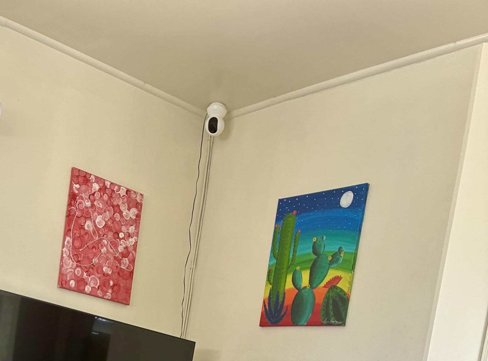 TP-Link Tapo Pan/Tilt Security Camera for Baby Monitor, Pet Camera w/Motion Detection, 1080P, 2-Way Audio, Night Vision, Cloud and SD Card Storage, Works with Alexa and Google Home (Tapo C200) customer photo 1