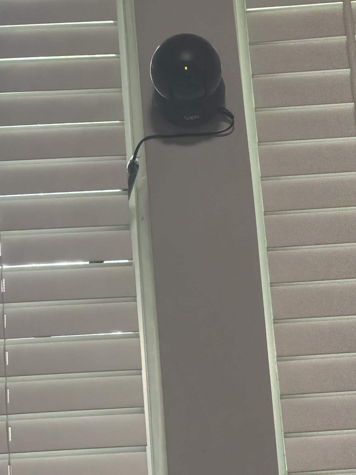 TP-Link Tapo Pan/Tilt Security Camera for Baby Monitor, Pet Camera w/Motion Detection, 1080P, 2-Way Audio, Night Vision, Cloud and SD Card Storage, Works with Alexa and Google Home (Tapo C200) customer photo 2