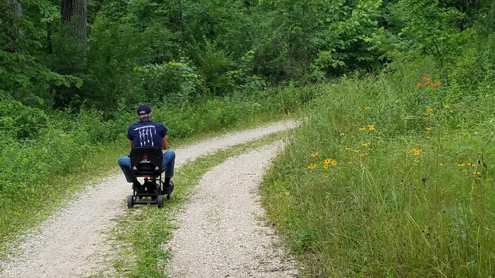 iLiving V8 Foldable Electric Mobility Scooter customer photo 2
