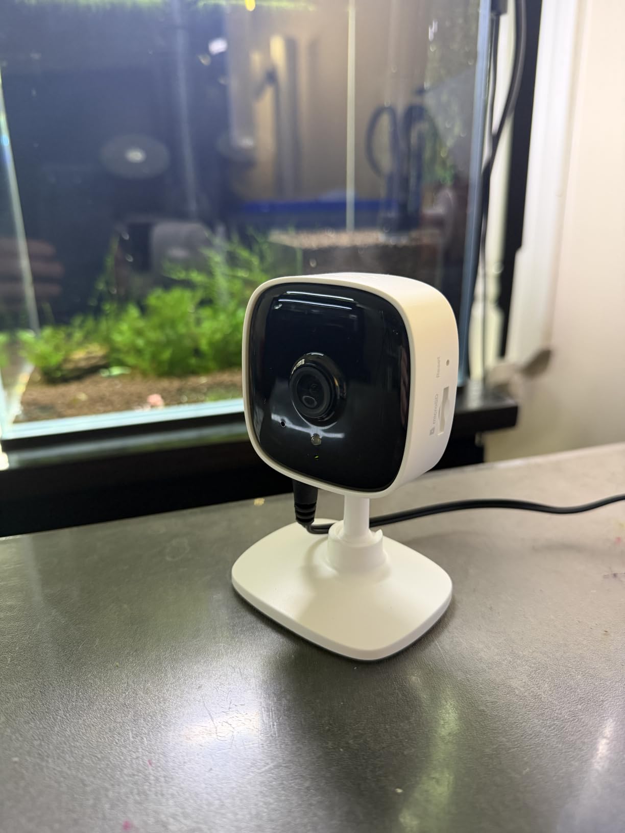 TP-Link Tapo 1080P Indoor Security Camera for Baby Monitor, Dog Camera w/Motion Detection, 2-Way Audio Siren, Night Vision, Cloud & SD Card Storage, Works w/Alexa & Google Home (Tapo C100) customer photo 2
