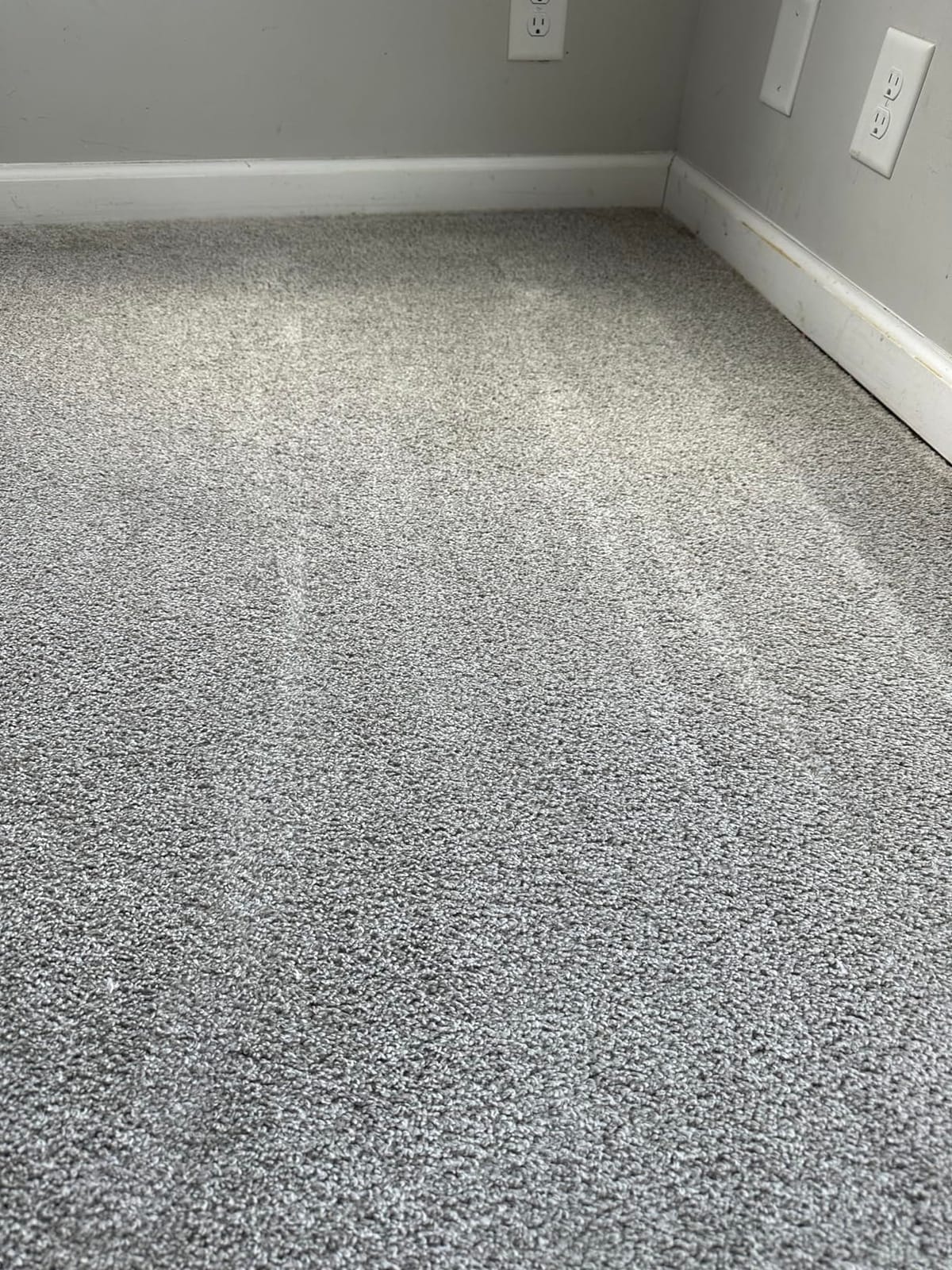Rug Doctor Mighty Pro X3 Commercial Carpet Cleaner with Pet Cleaner Pack customer photo 1