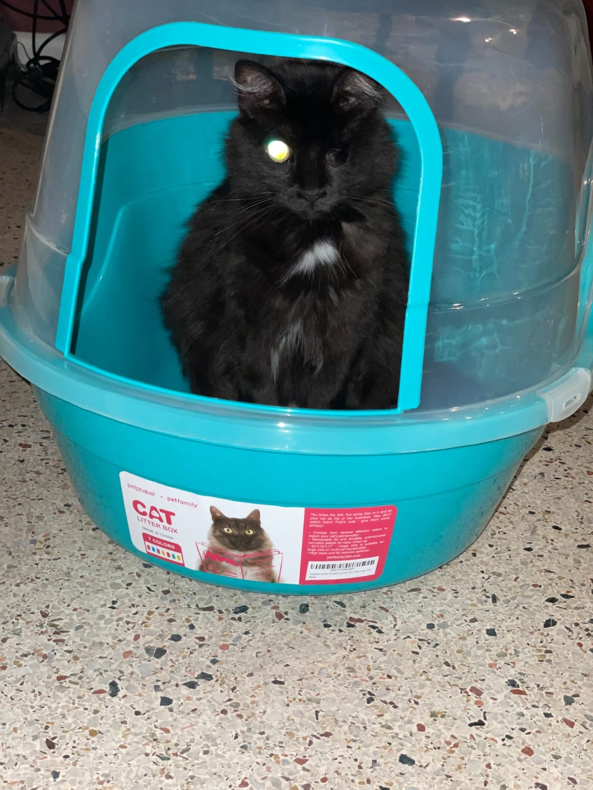 Petphabet Jumbo Hooded Cat Litter Box, Extra Large Gray customer photo 2