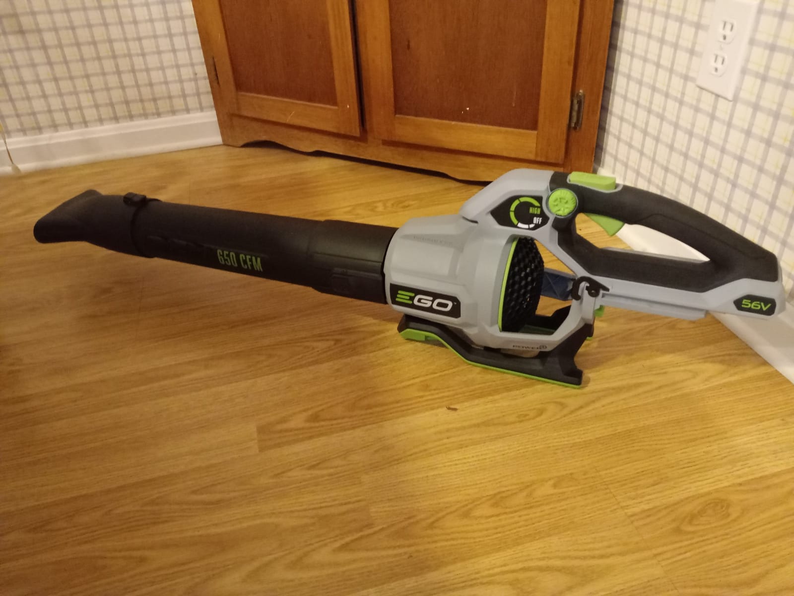 EGO POWER+ Cordless Electric Leaf Blower, 650 CFM, With Battery - LB6504 customer photo 1