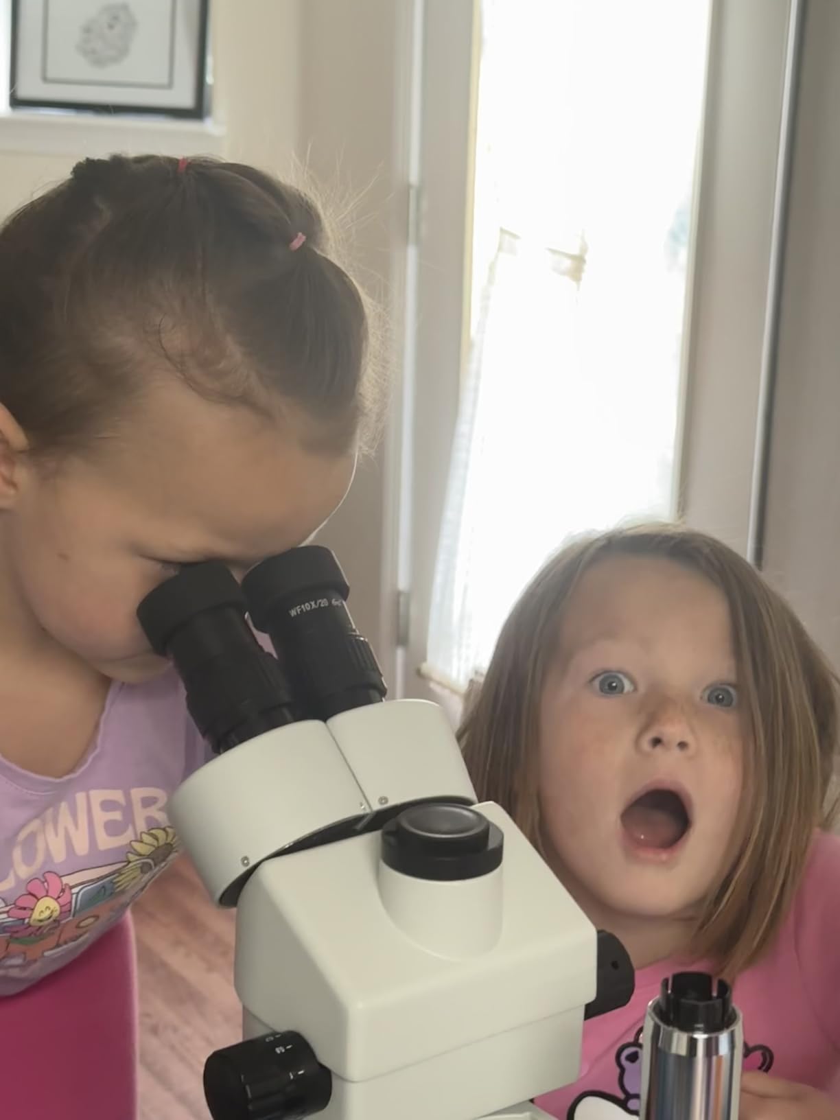 SWIFT Trinocular Stereo Zoom Microscope with 56-Bulb LED Ring Light,3.5X-90X Magnification,WF10X Eyepieces,0.7X-4.5X Zoom Objective, 0.5X 2.0X Additional Objectives,Table Pillar Stand customer photo 2
