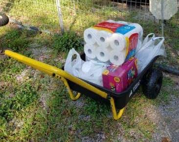 Gorilla Carts Poly Dump Cart, 2-Wheel Garden Wagon, 4 Cu Ft, 300lb Capacity | Foldable Handle, Push or pull design, Low center of gravity for stability, Easy unloading, Wheelbarrow alternative customer photo 1
